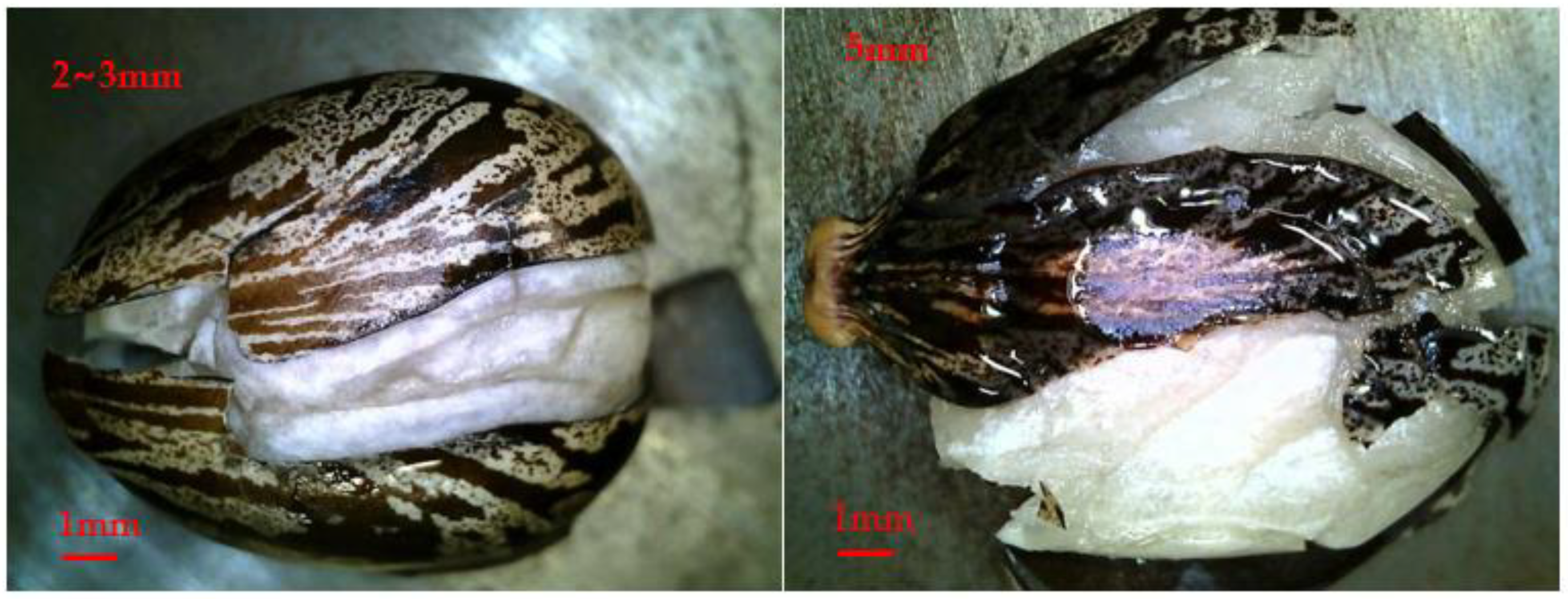 Processes 09 01777 g004b