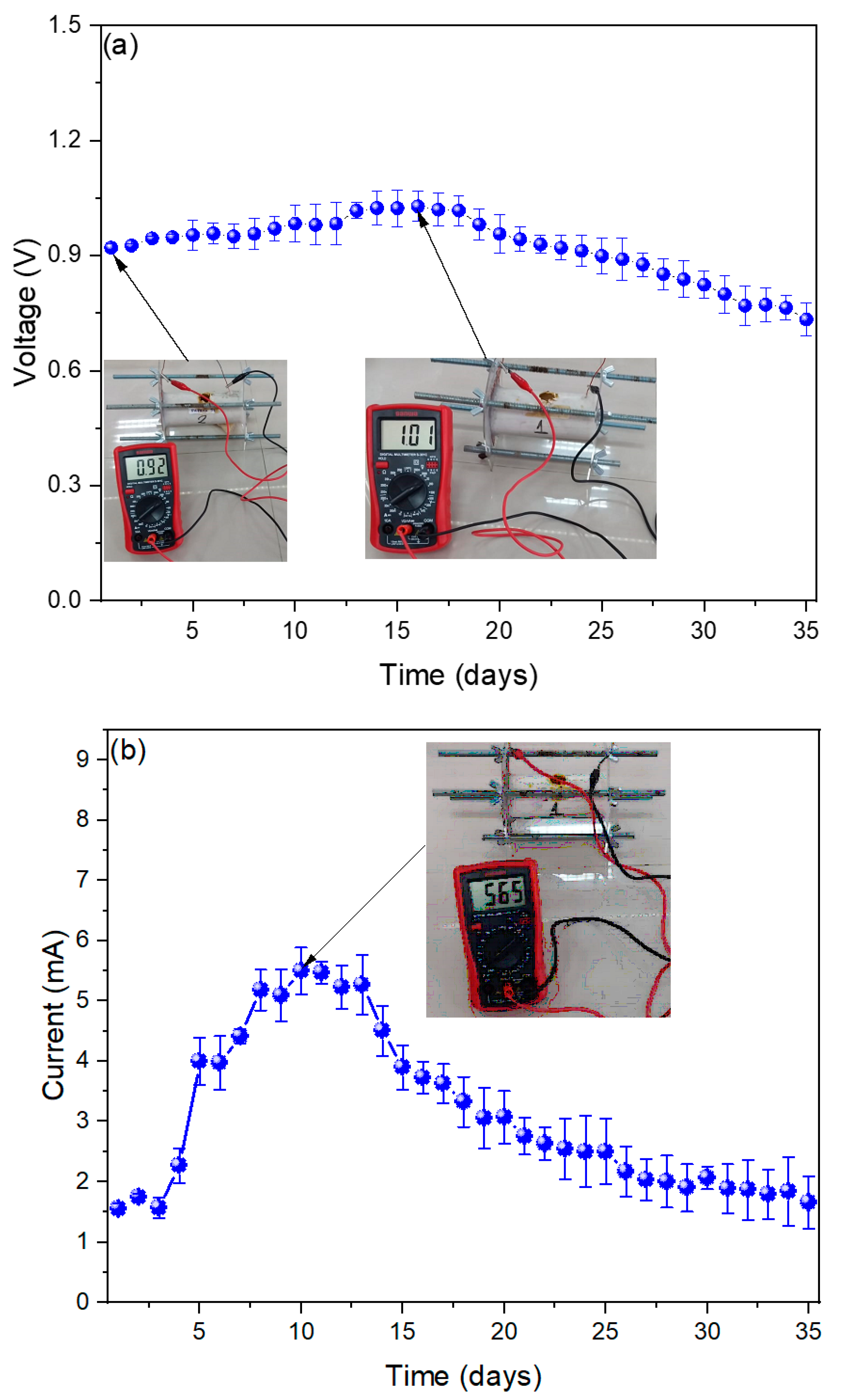 Processes 09 01799 g002