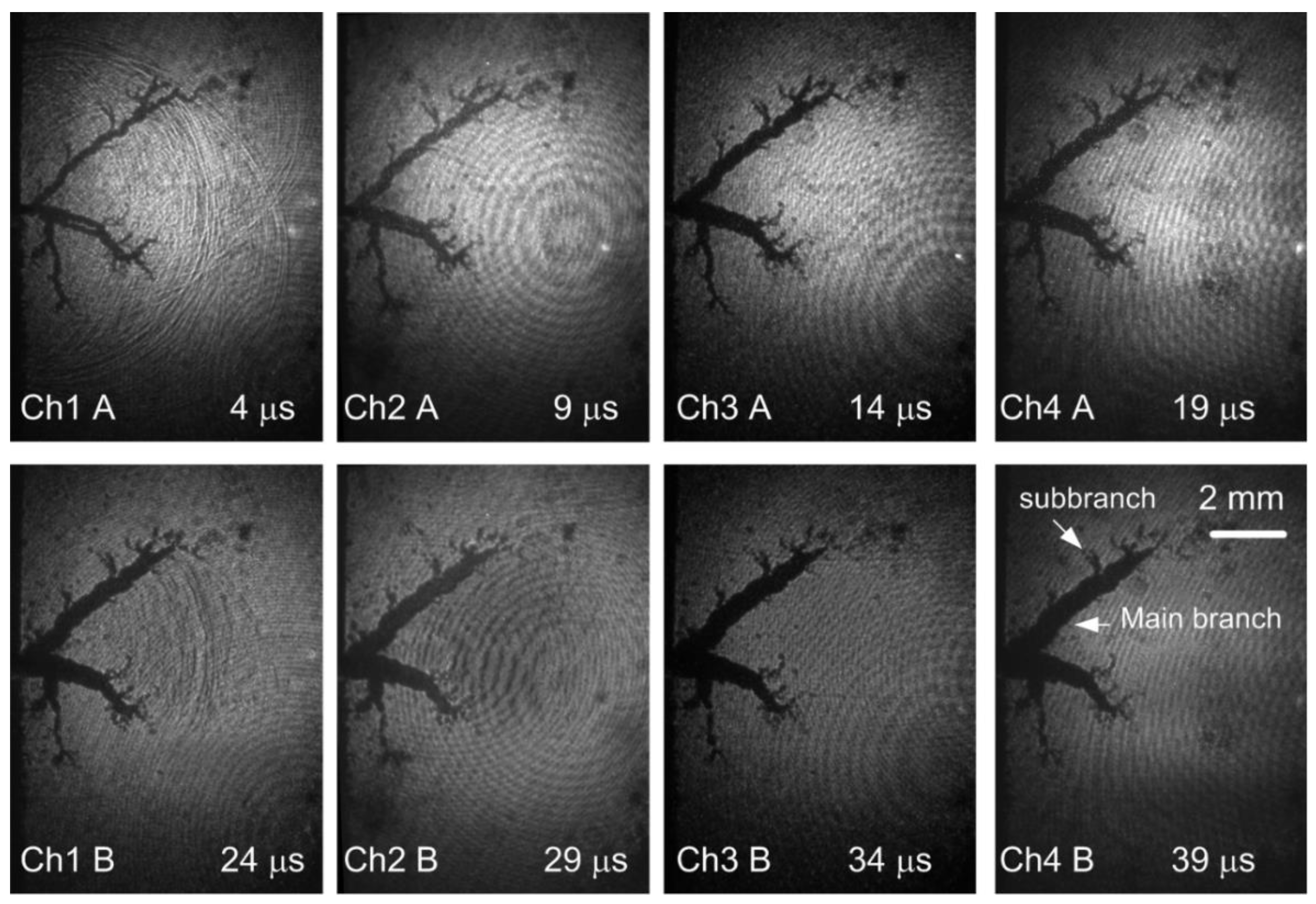 Processes 09 01809 g002