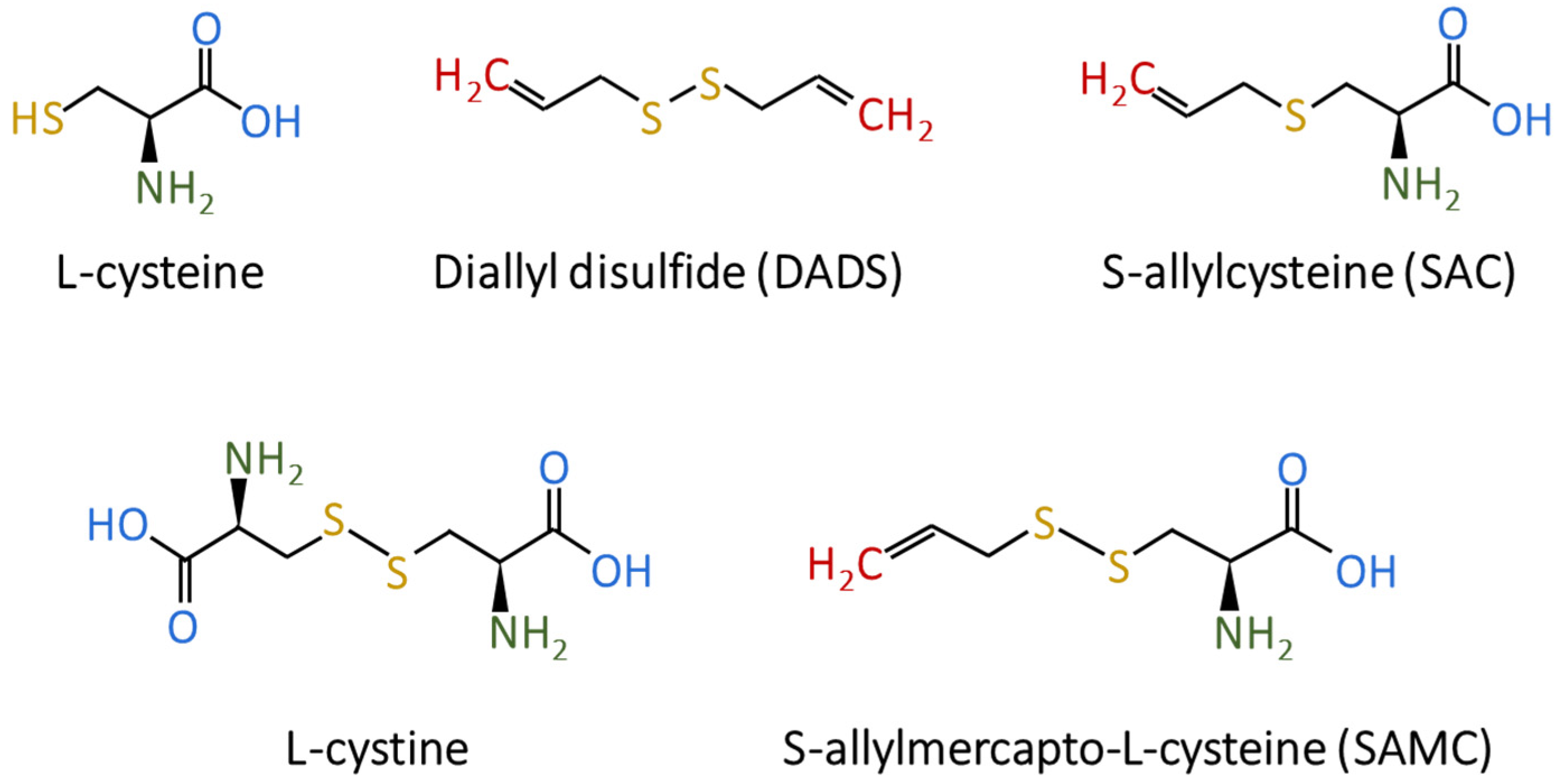 Processes 09 01819 g002