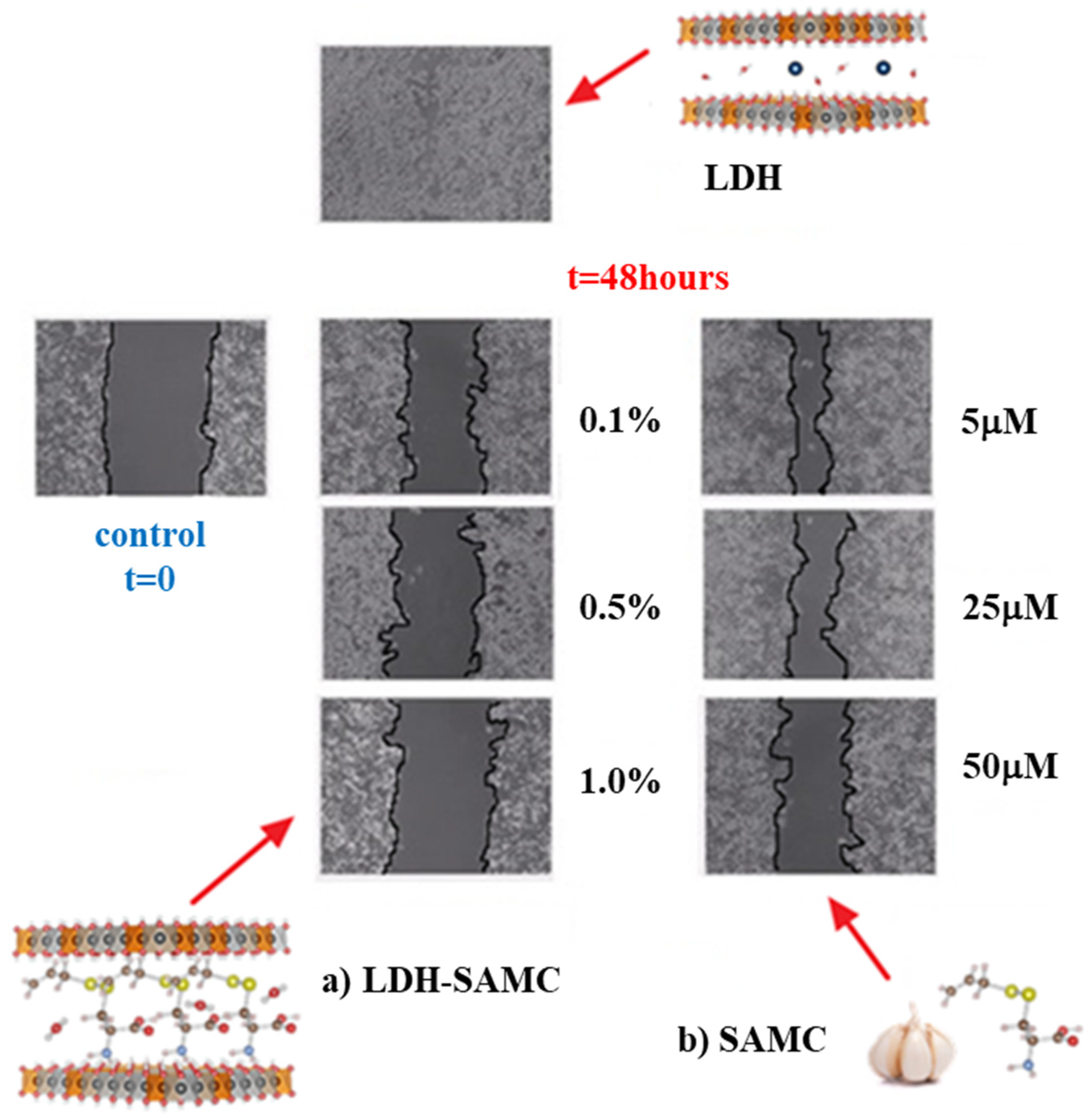 Processes 09 01819 g010