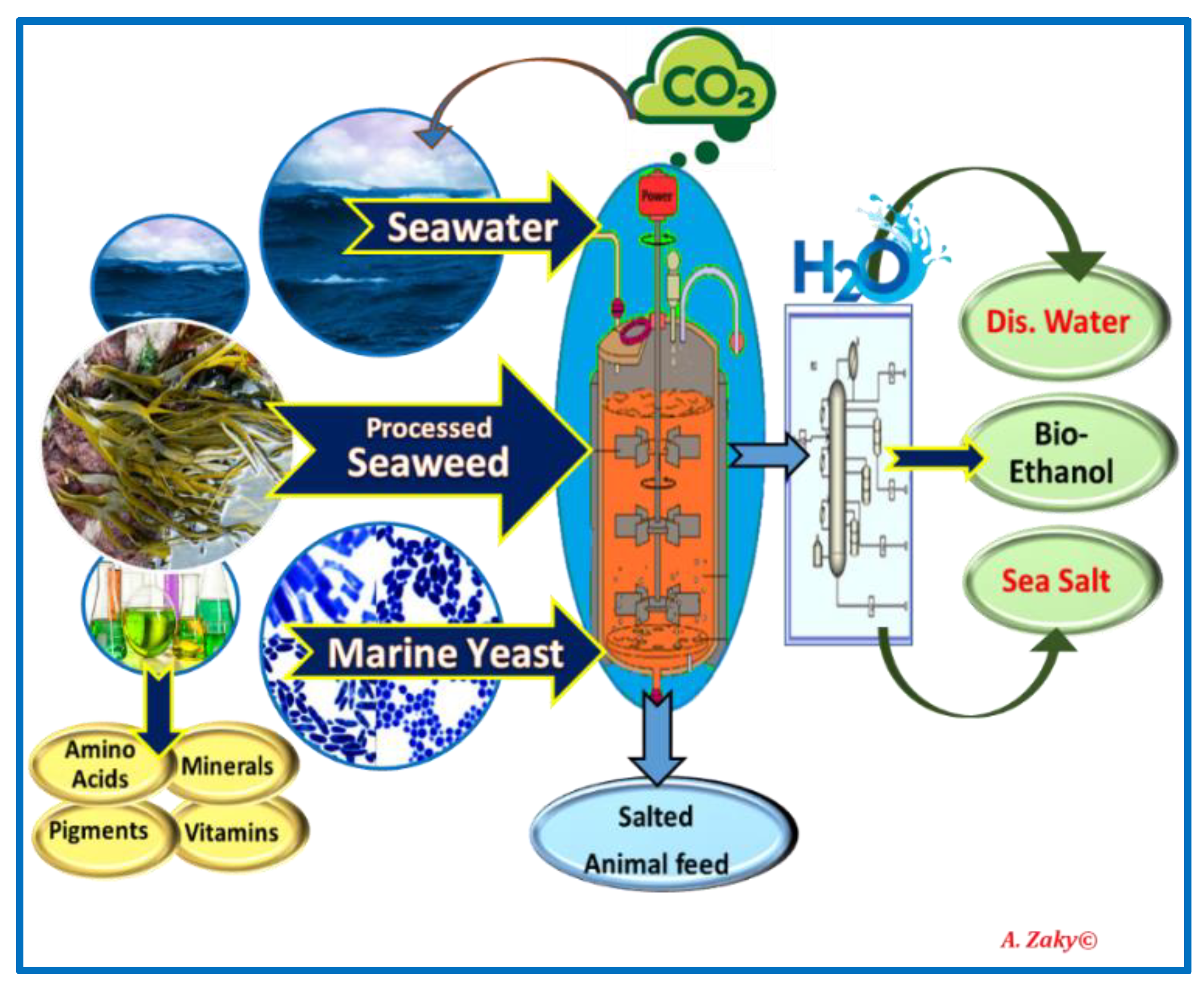 Processes 09 01841 g003