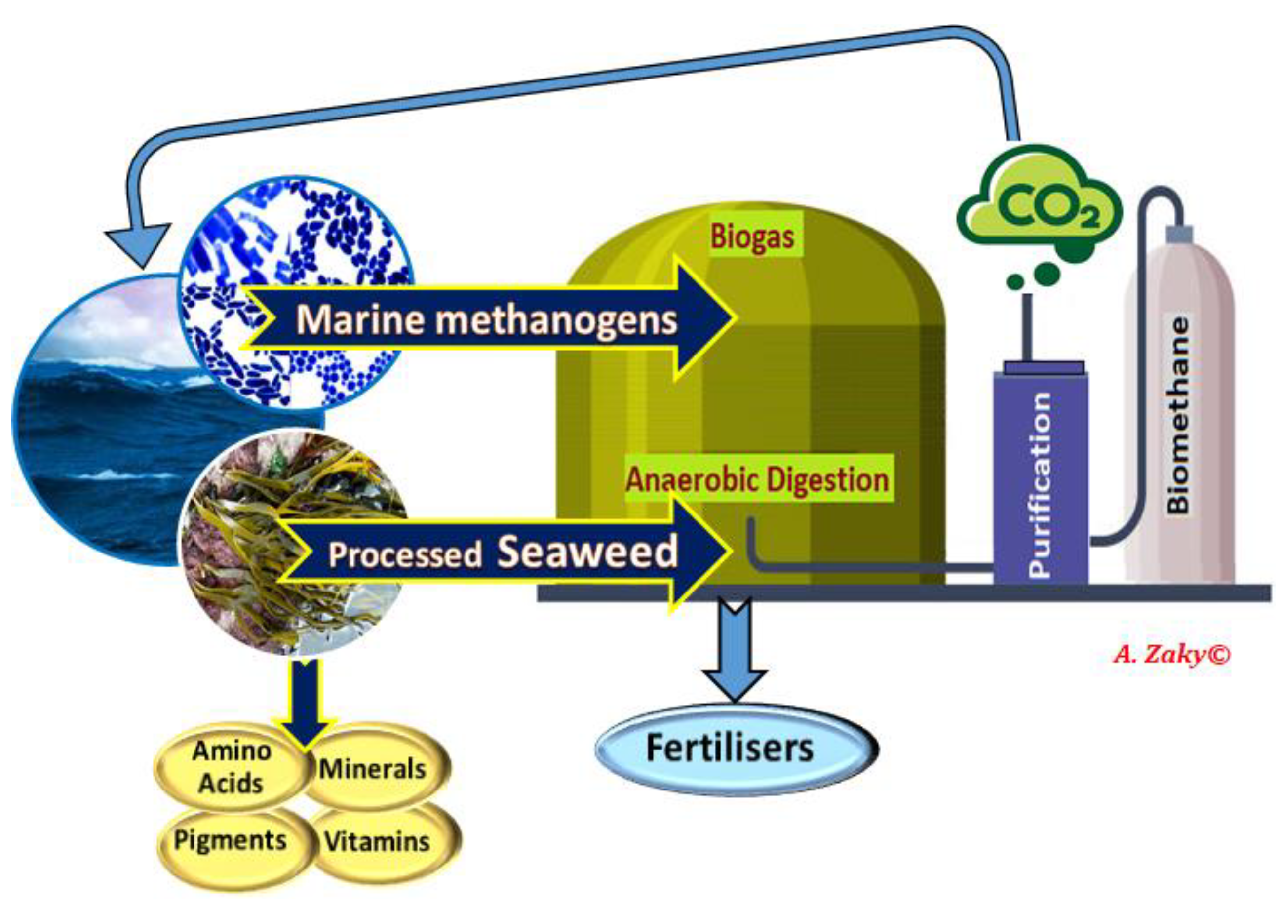 Processes 09 01841 g004