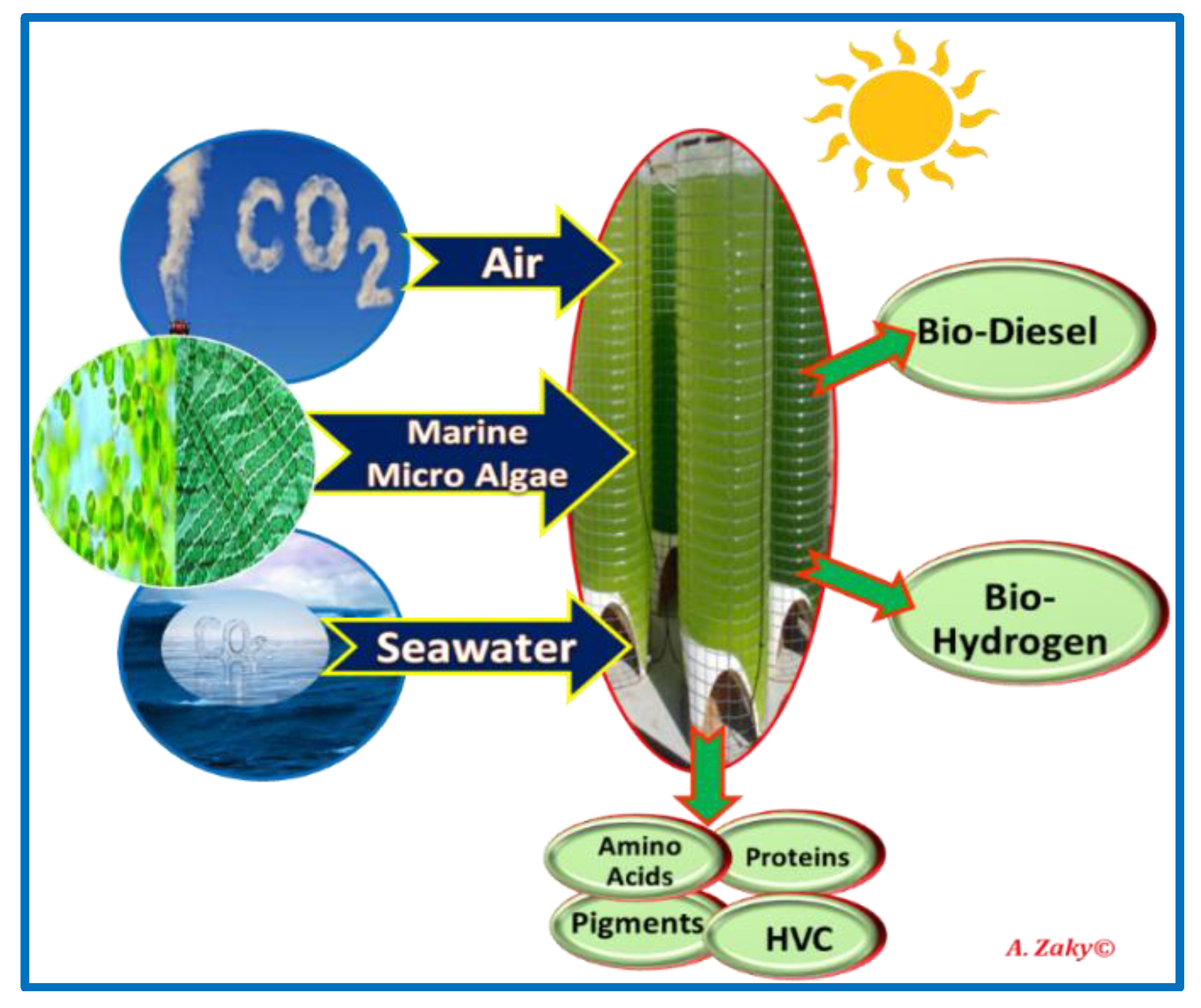 Processes 09 01841 g005