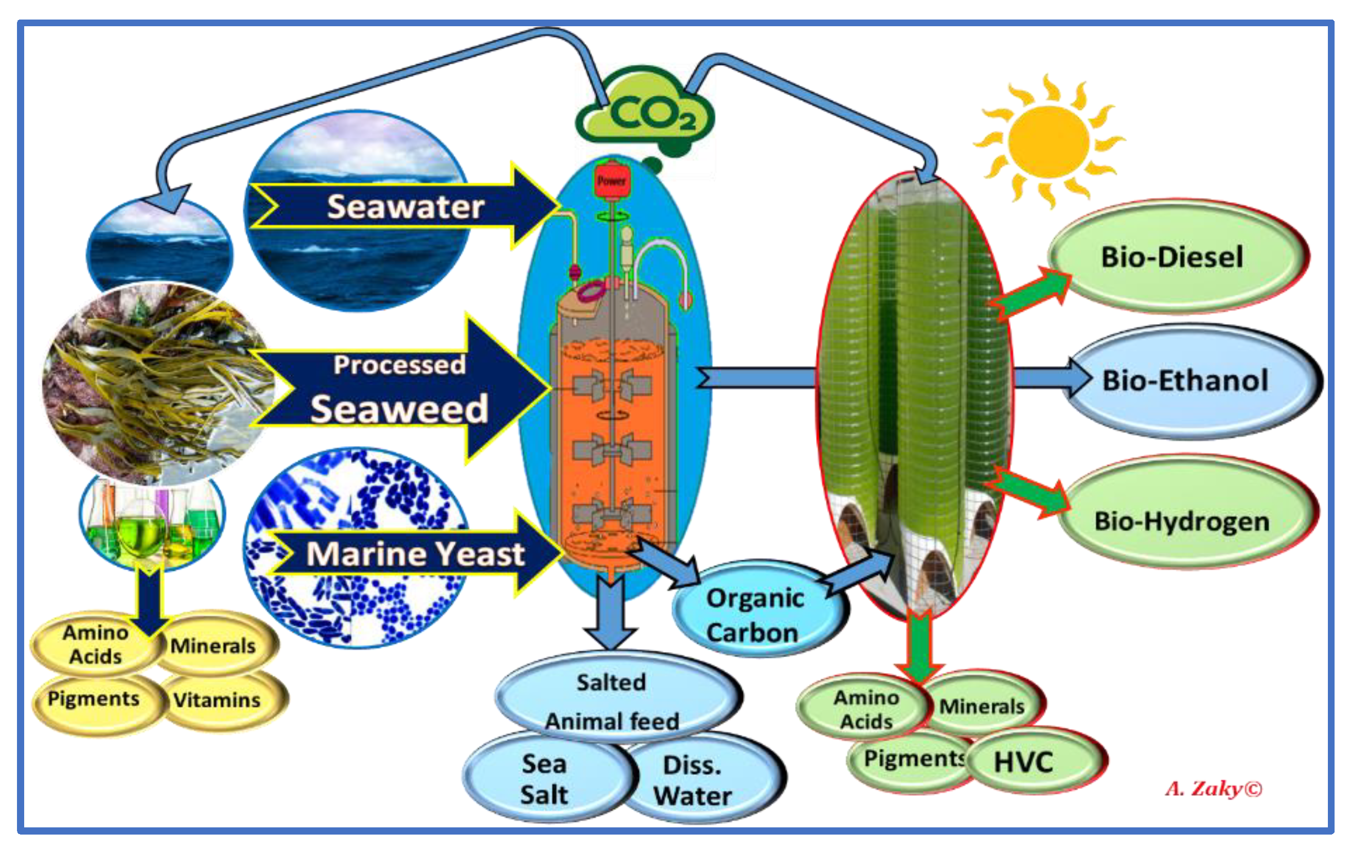 Processes 09 01841 g006