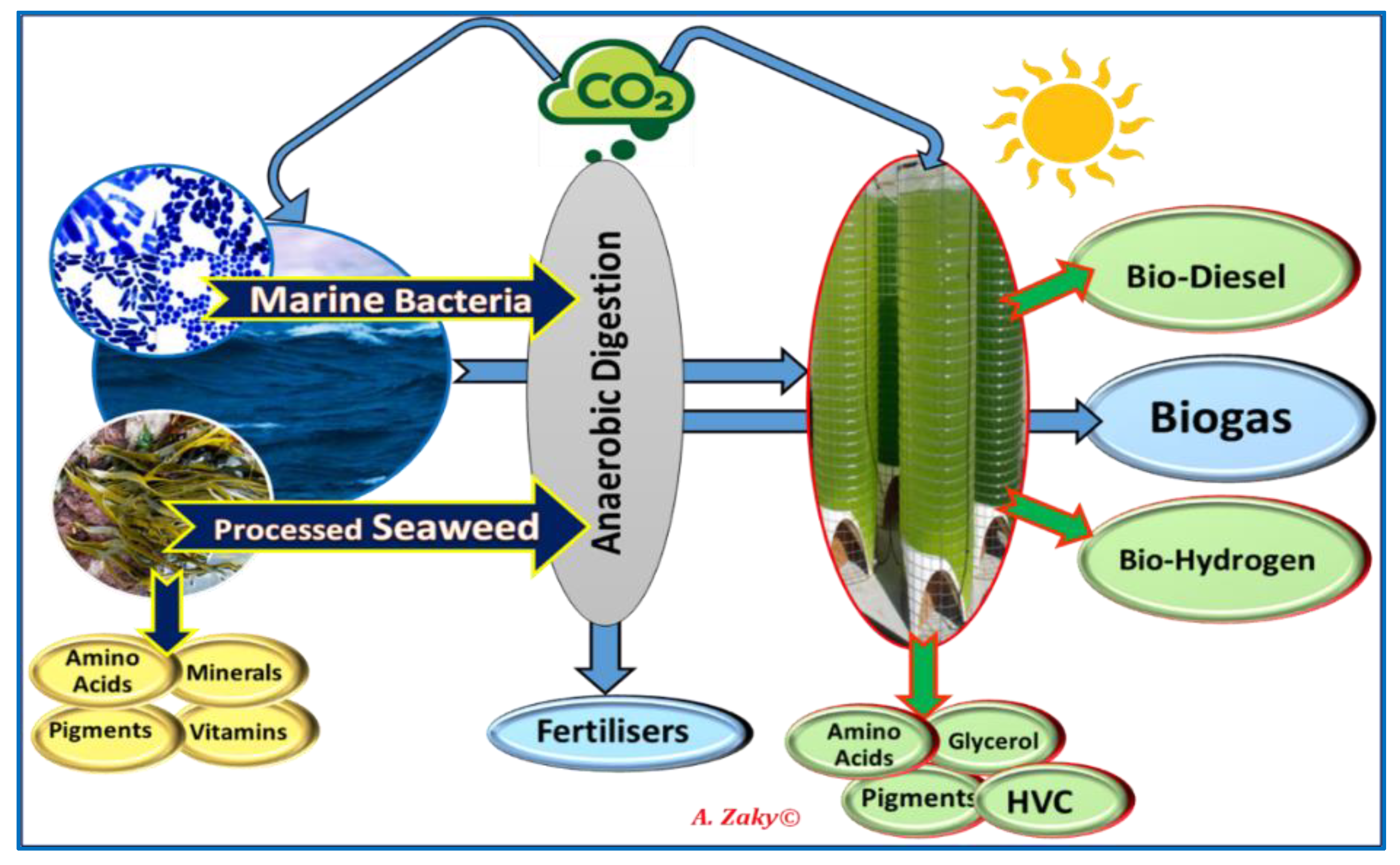 Processes 09 01841 g007