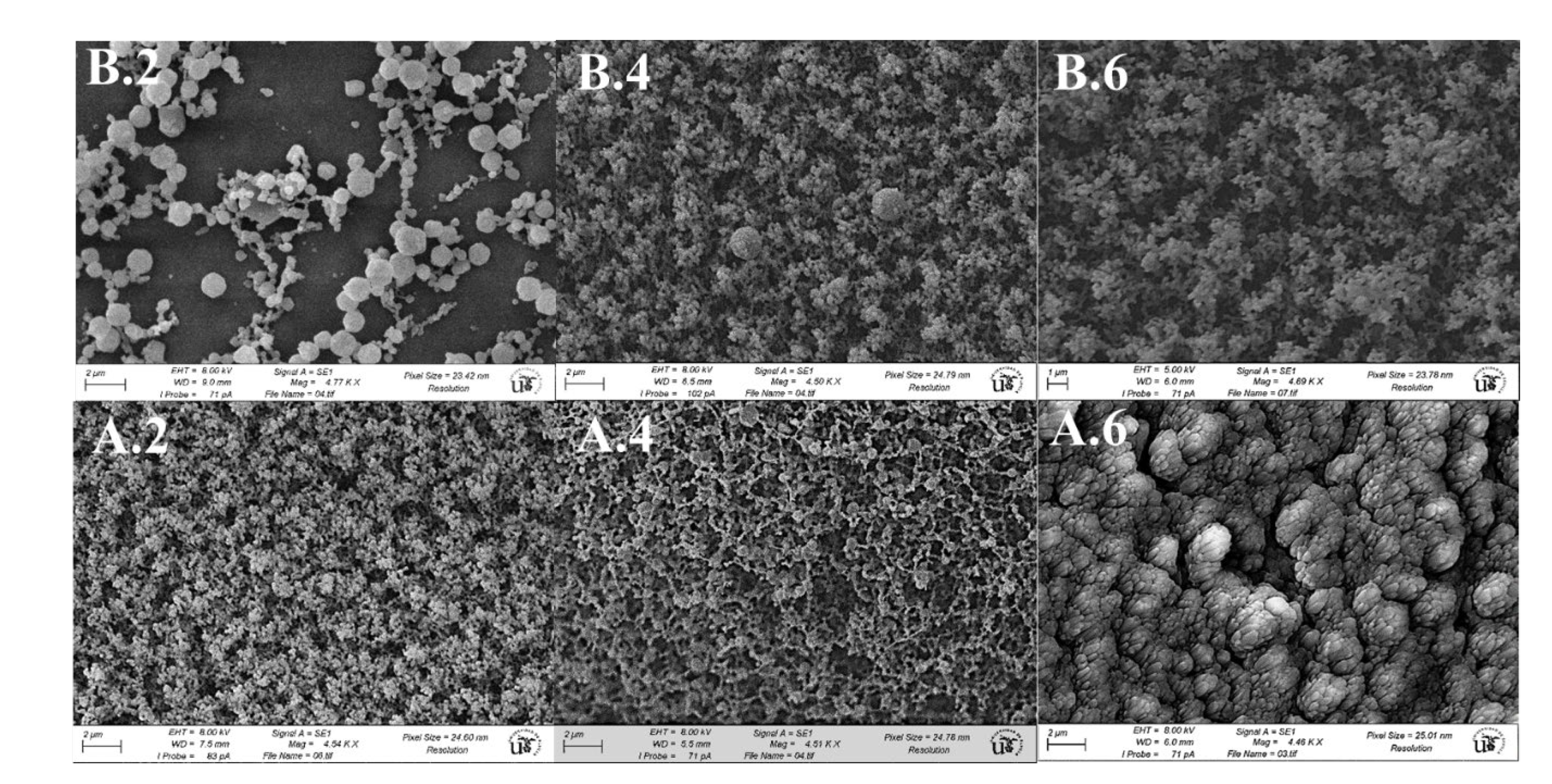 Processes 09 01842 g005