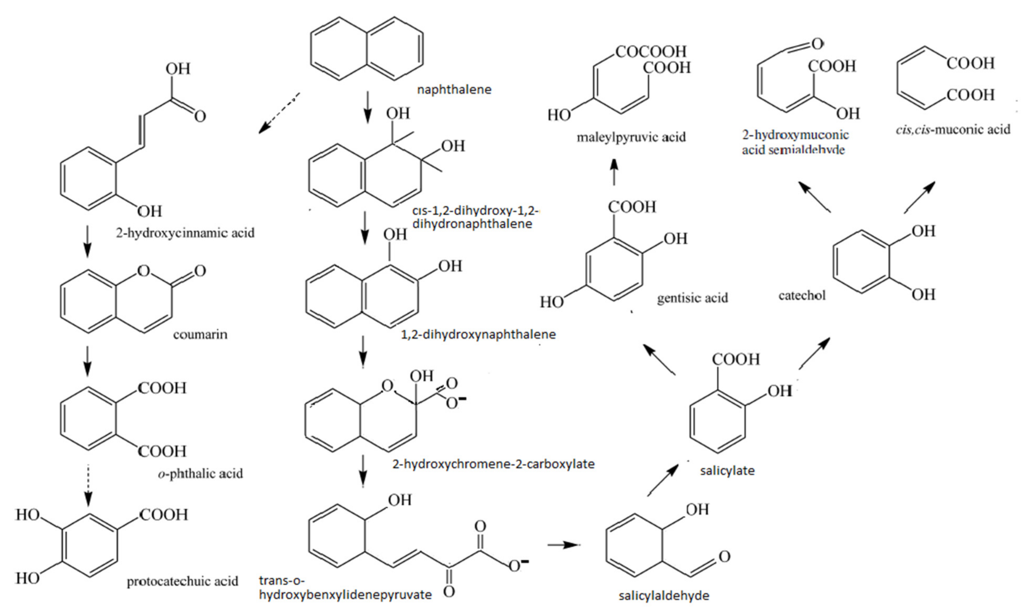 Processes 09 01862 g001