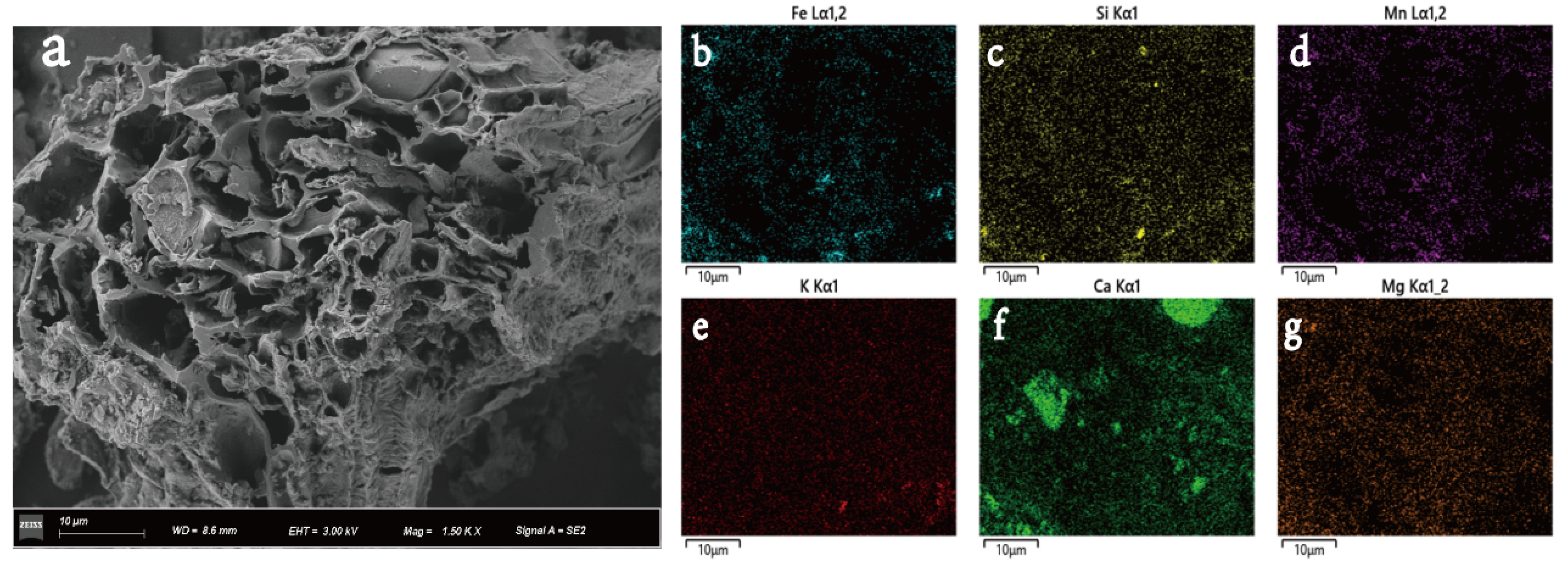 Processes 09 01866 g001