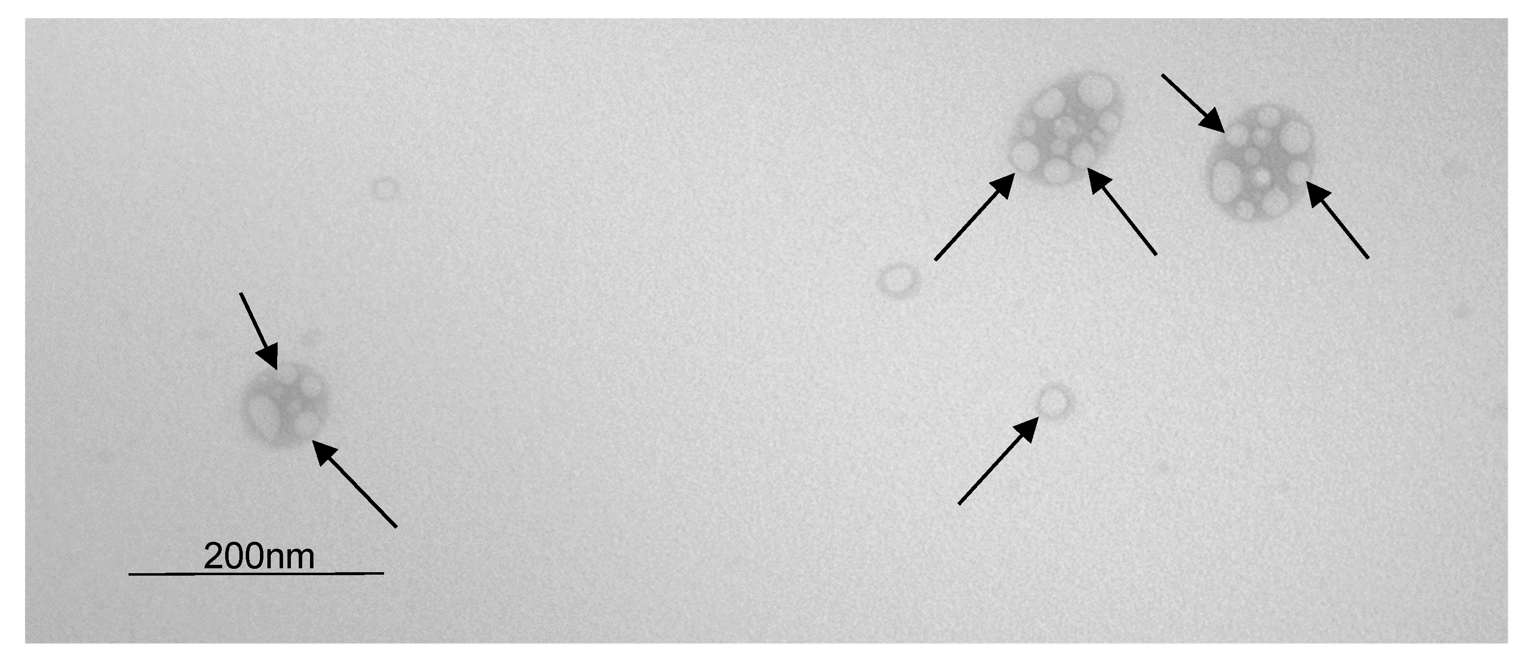 Processes 09 01872 g003