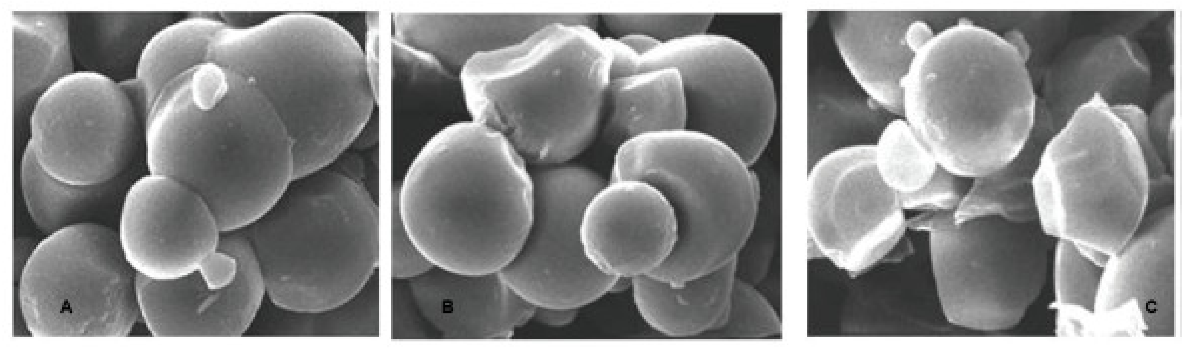 Processes 09 01891 g003 Processes 09 01891 g003