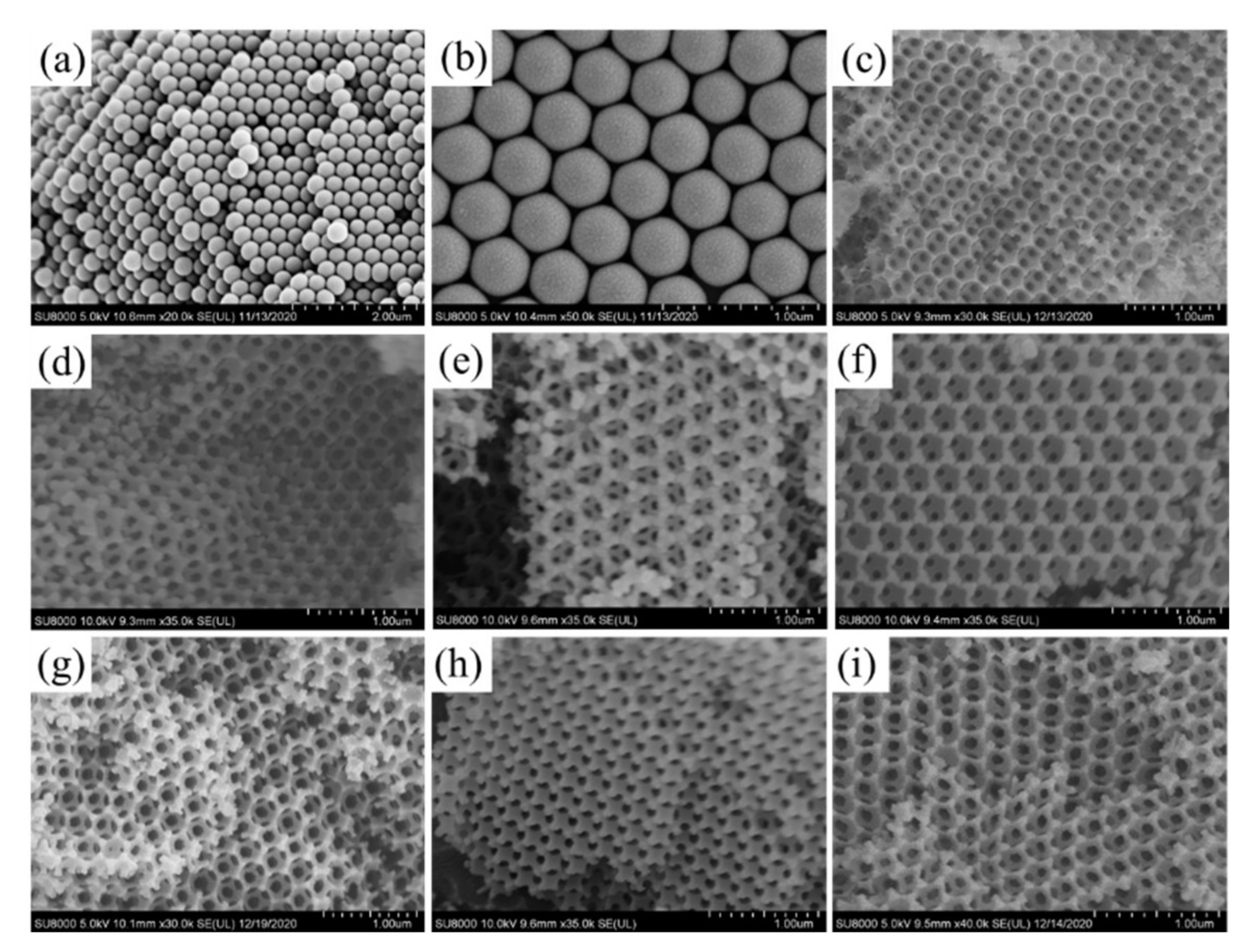 Processes 09 01925 g002