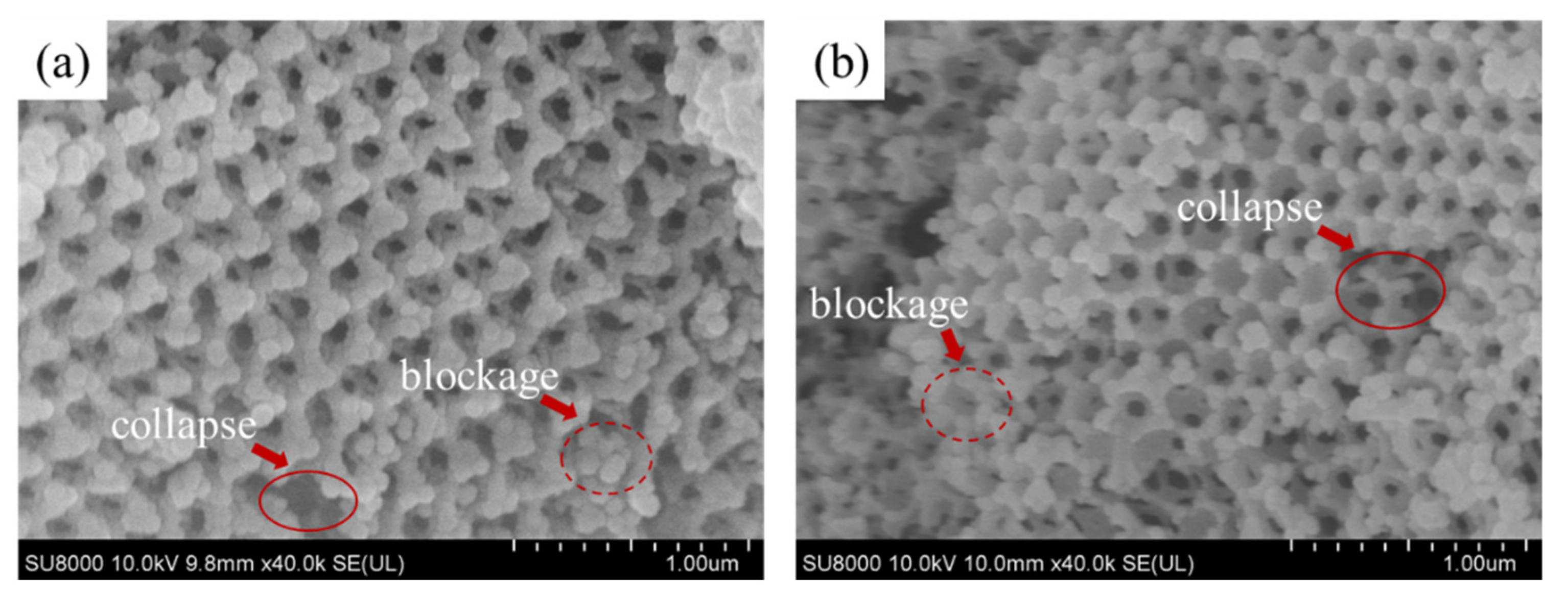 Processes 09 01925 g008