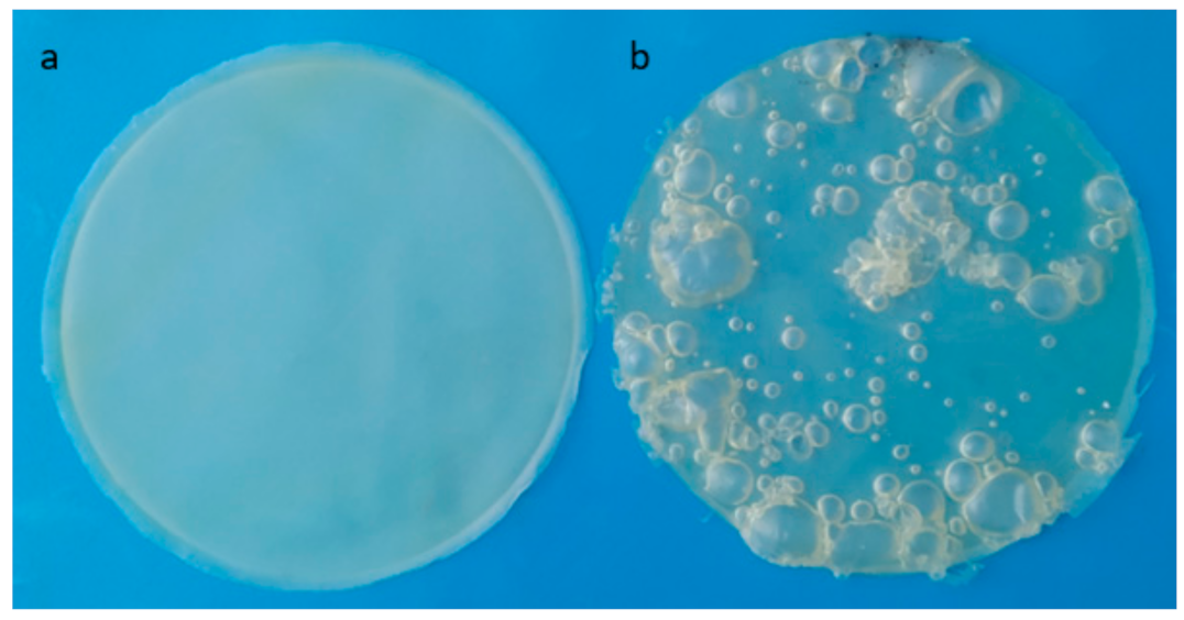 Processes 09 01929 g011 Processes 09 01929 g011