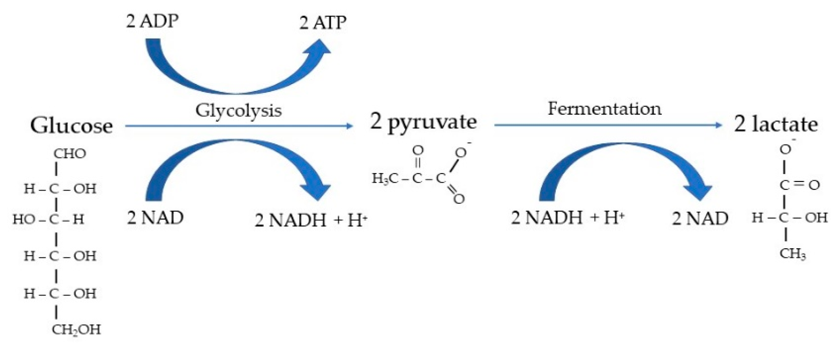 Processes 09 01953 g001