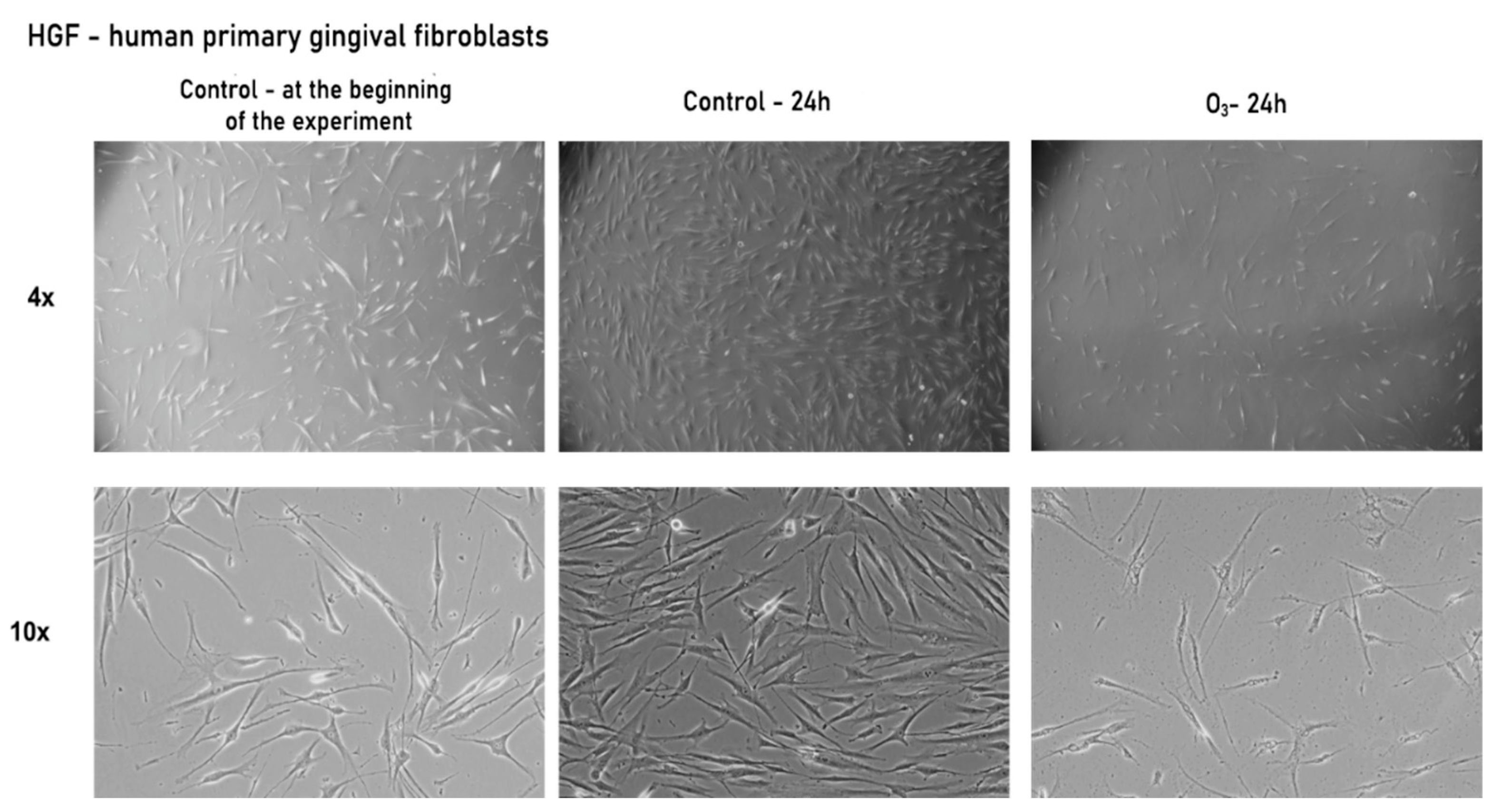 Processes 09 01978 g002 Processes 09 01978 g002
