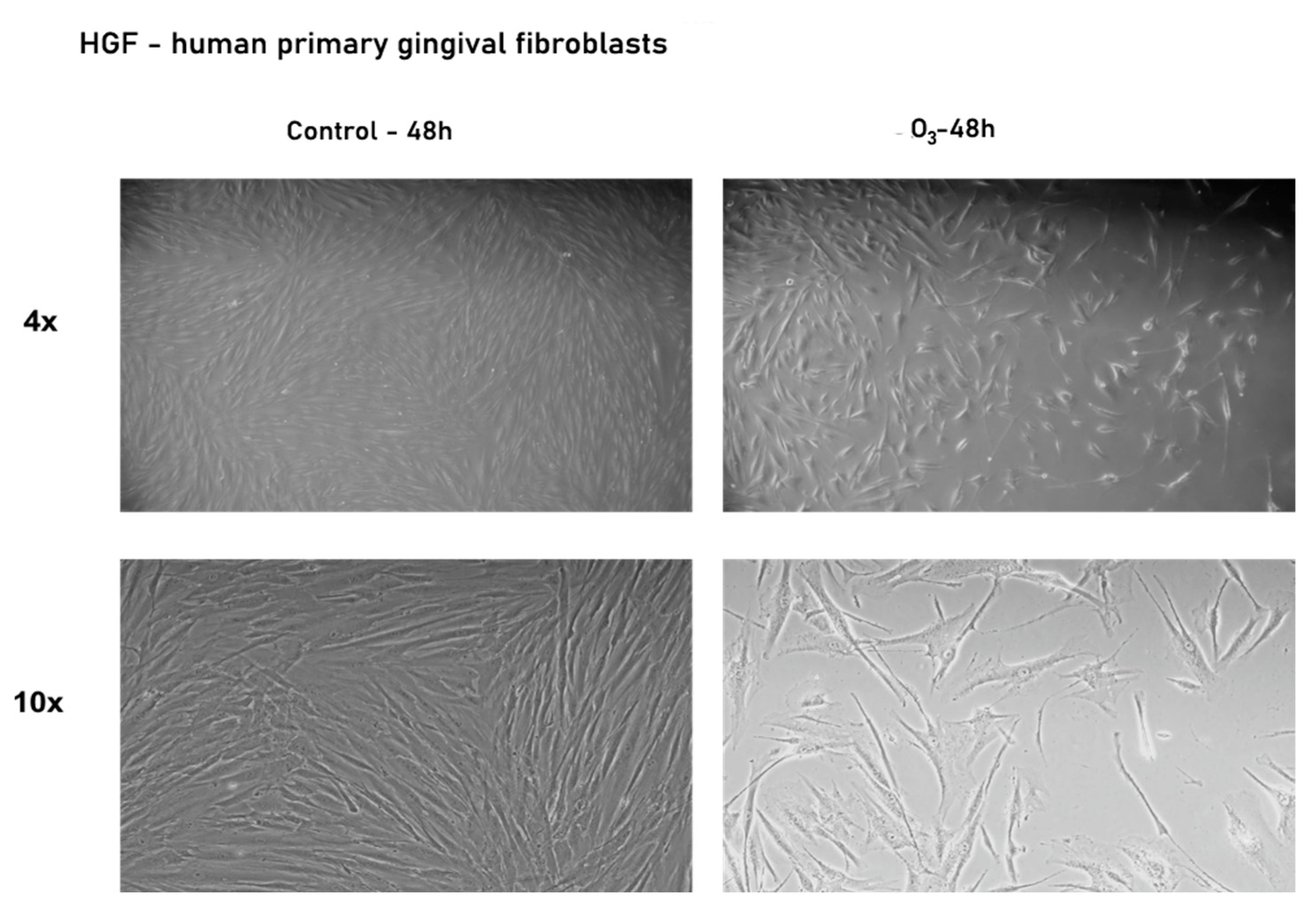 Processes 09 01978 g003 Processes 09 01978 g003