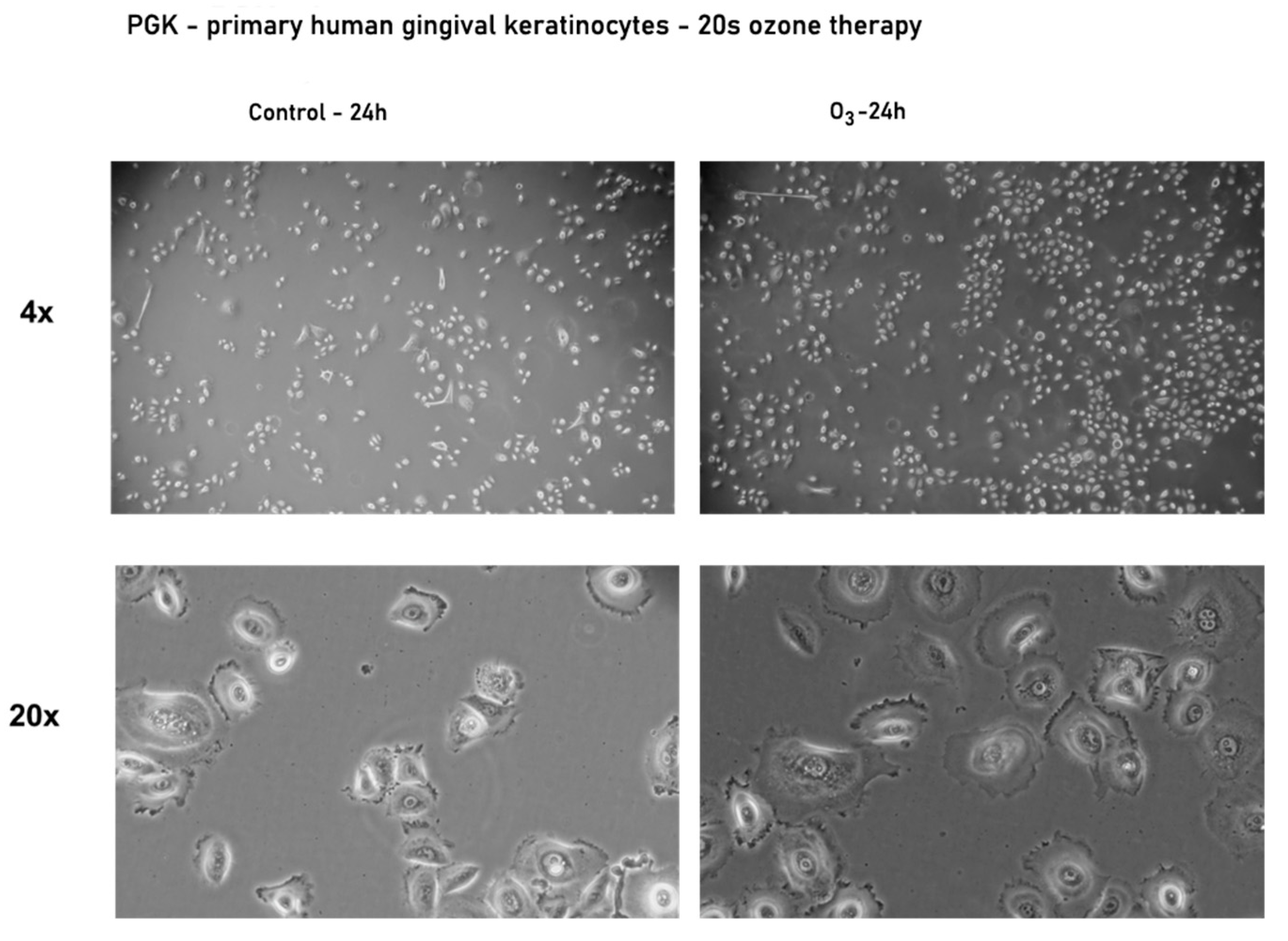 Processes 09 01978 g004 Processes 09 01978 g004