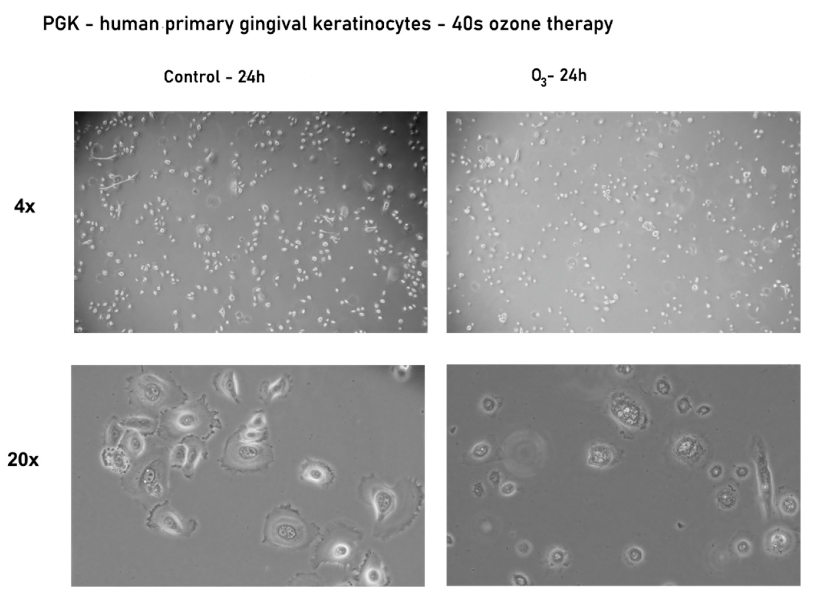 Processes 09 01978 g005 Processes 09 01978 g005