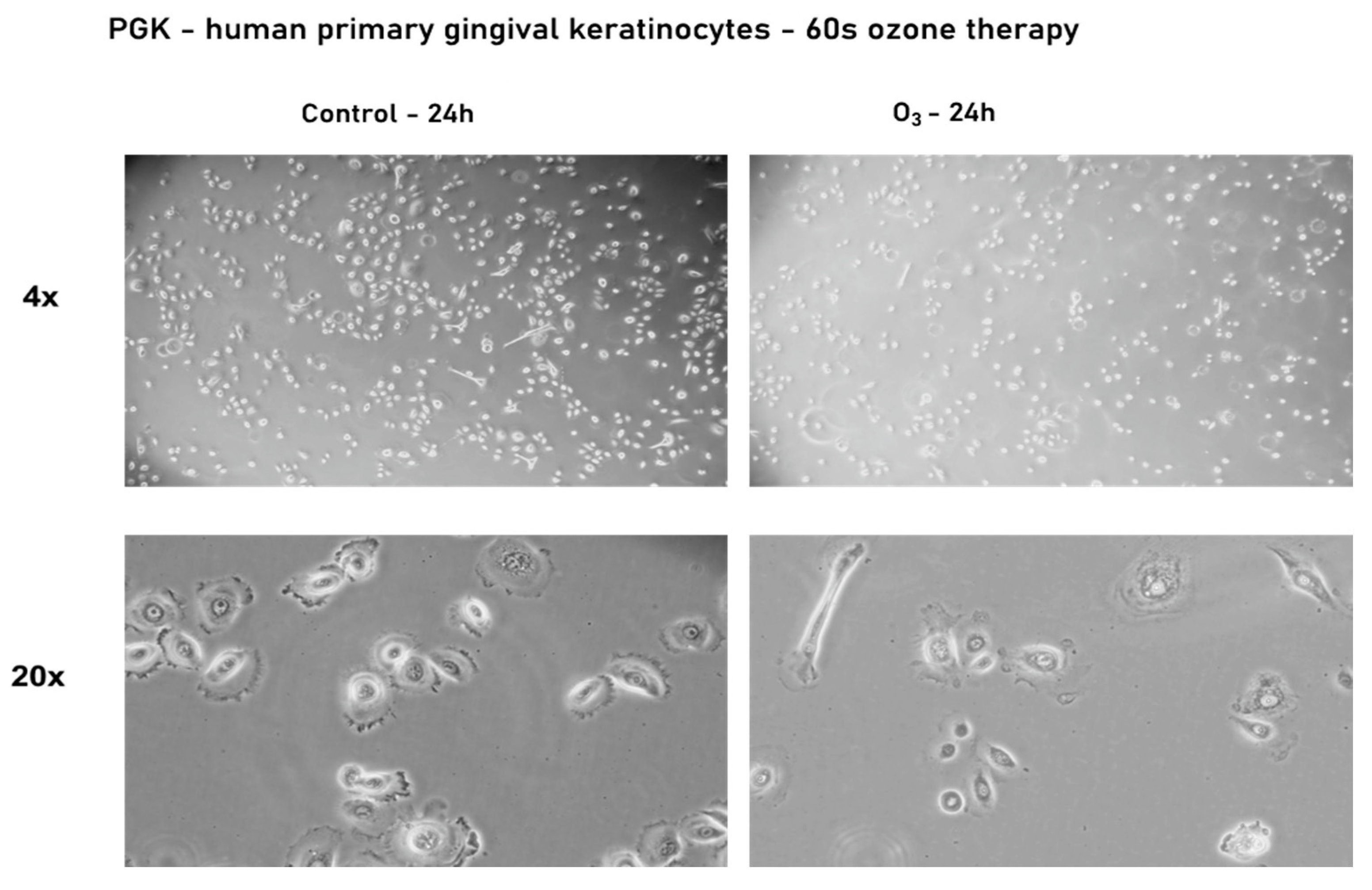 Processes 09 01978 g006 Processes 09 01978 g006