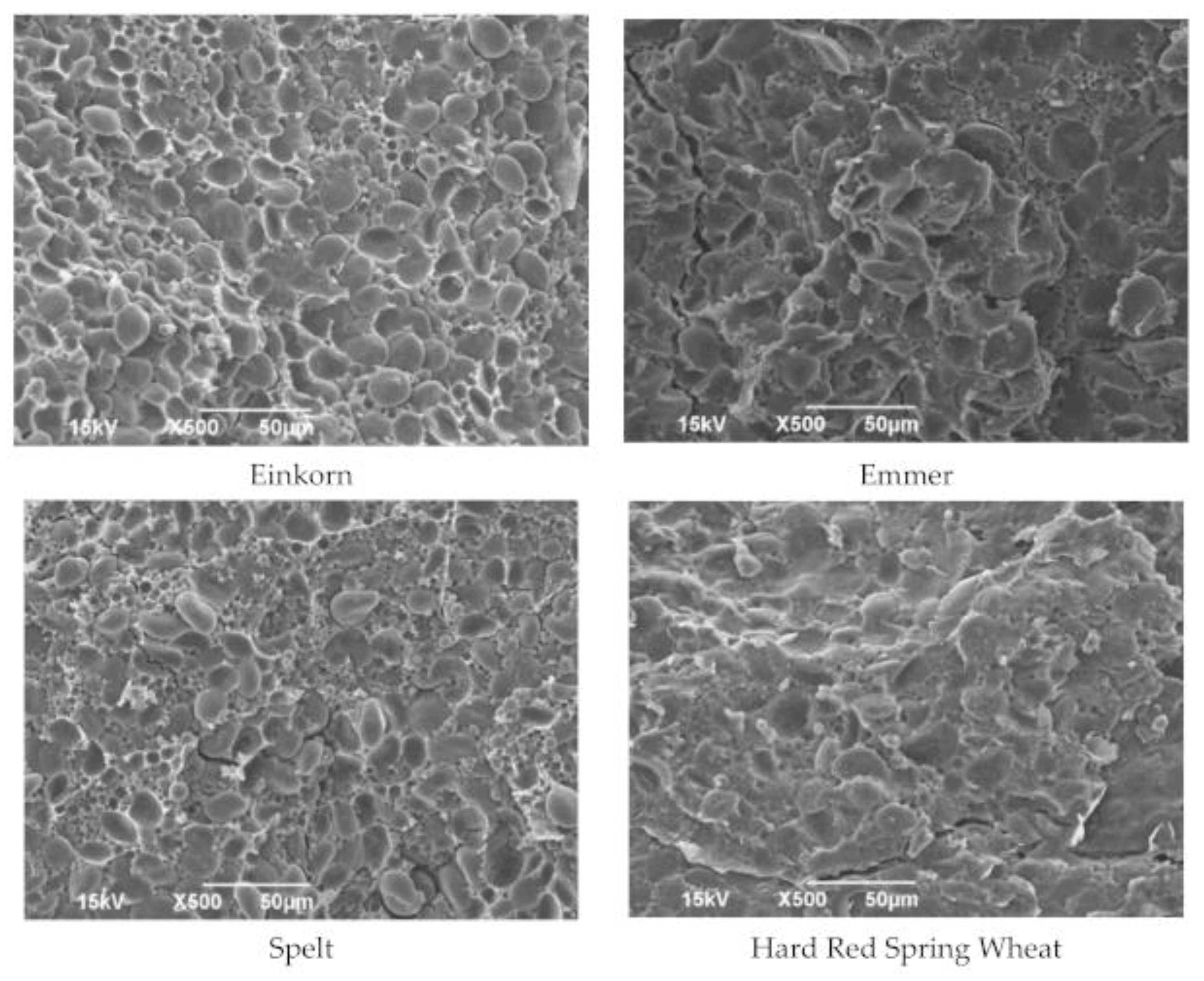 Processes 09 02008 g002