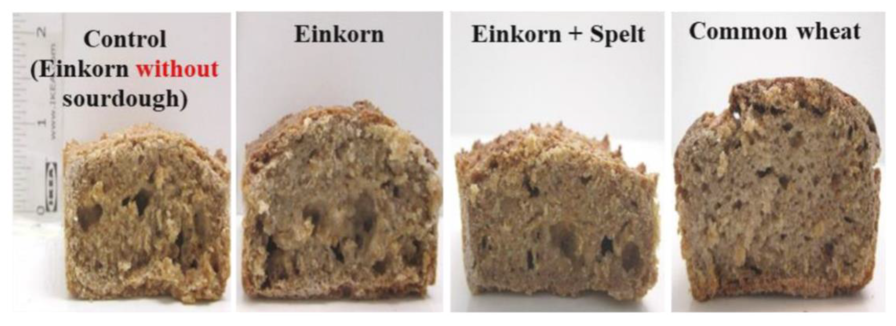Processes 09 02008 g003