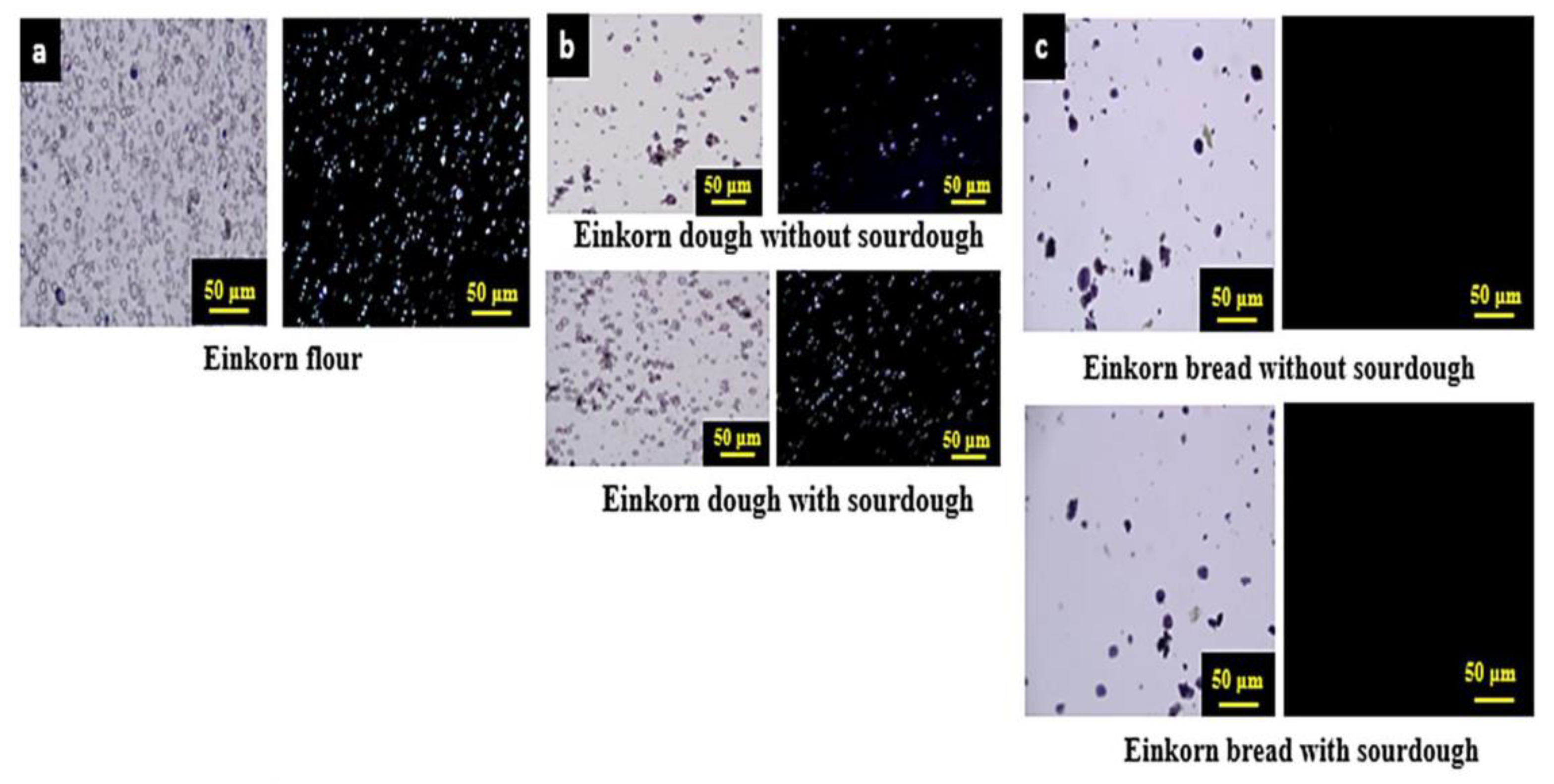 Processes 09 02008 g004