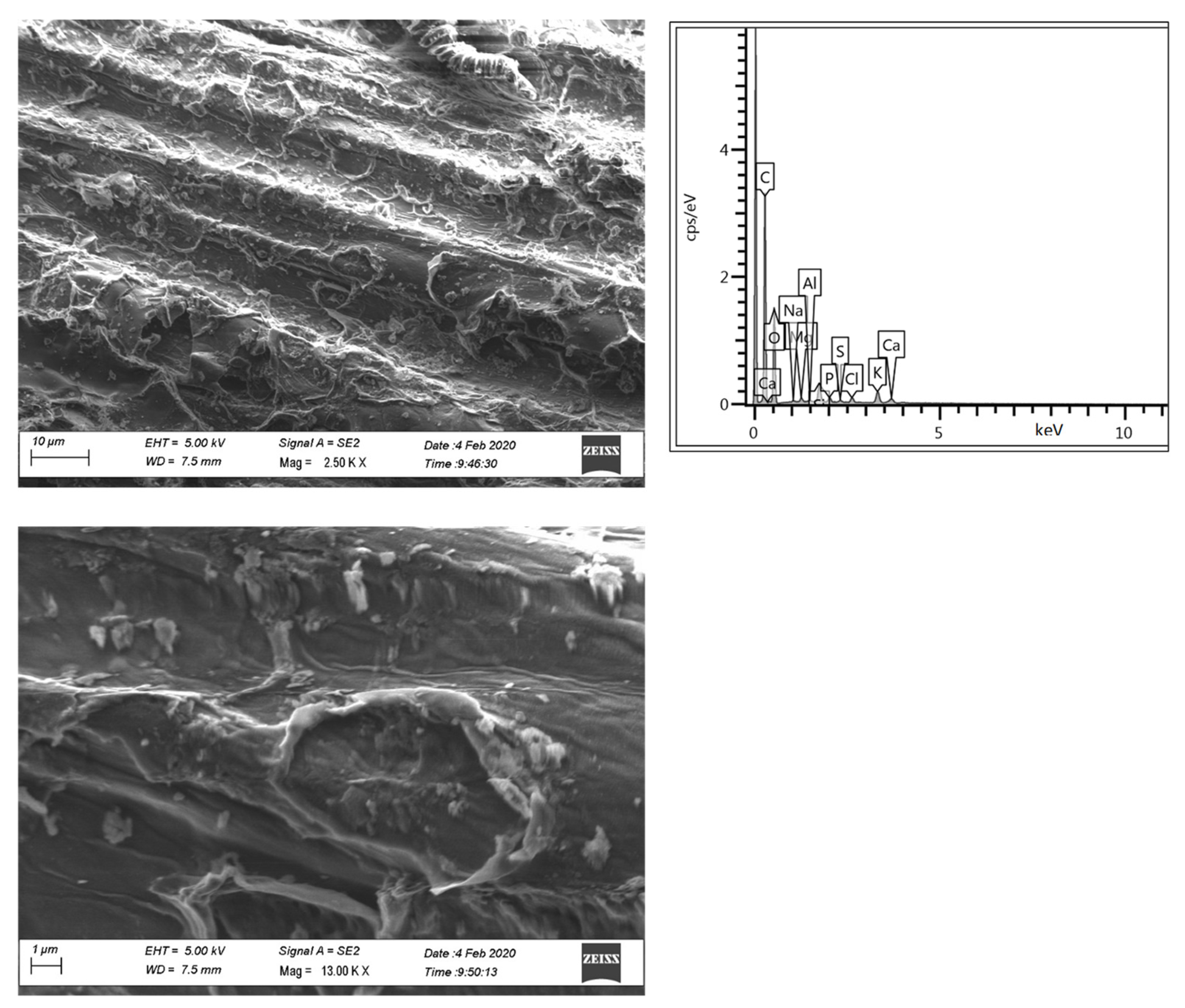 Processes 09 02018 g001