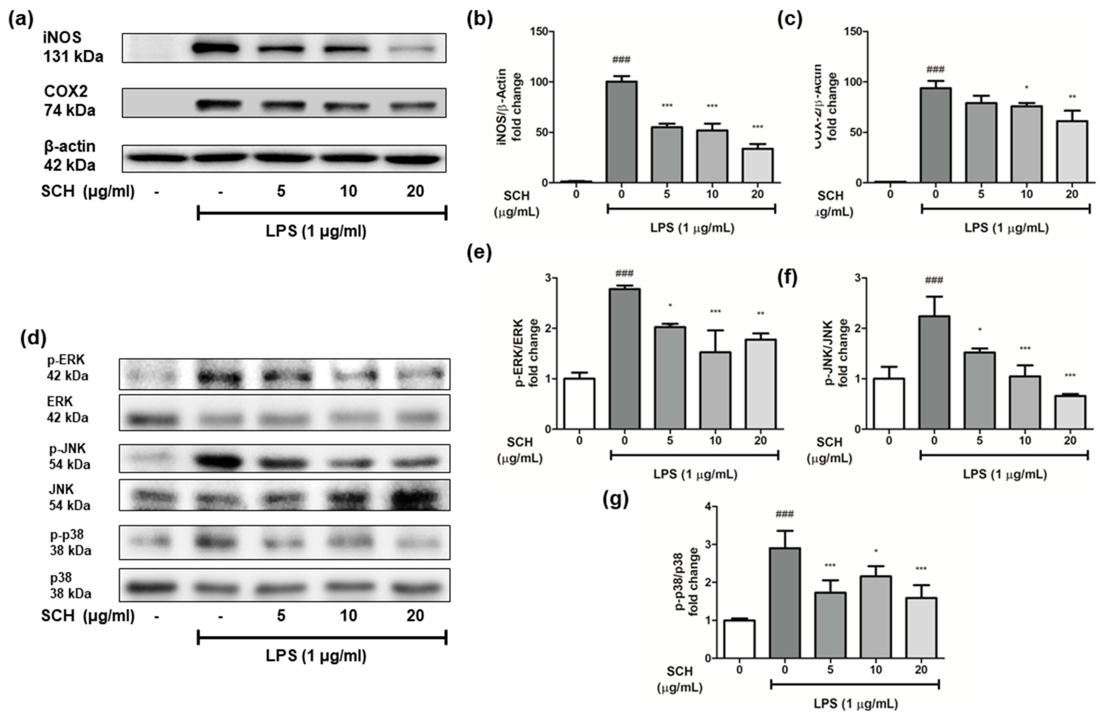 Processes 09 02034 g006