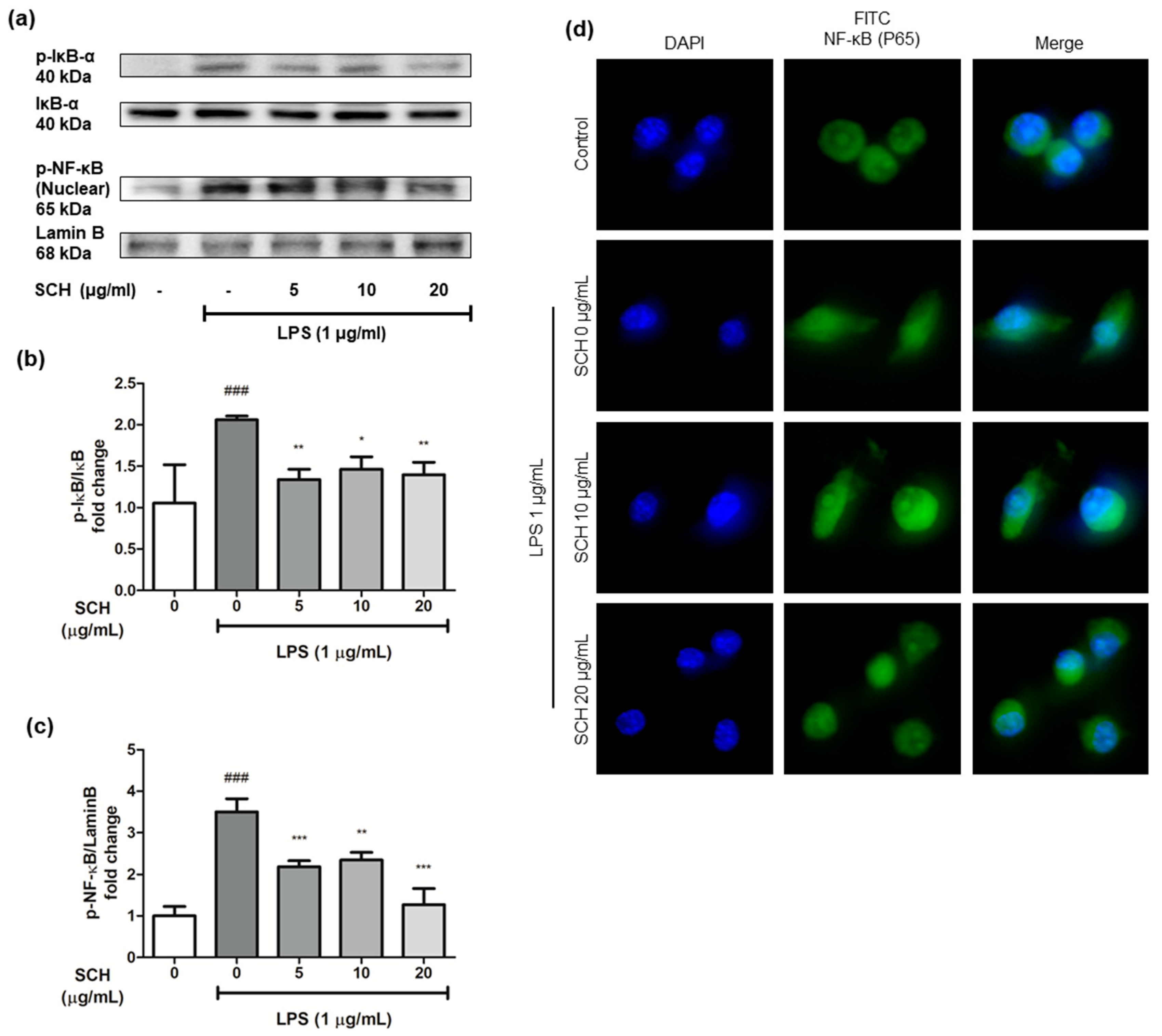 Processes 09 02034 g007