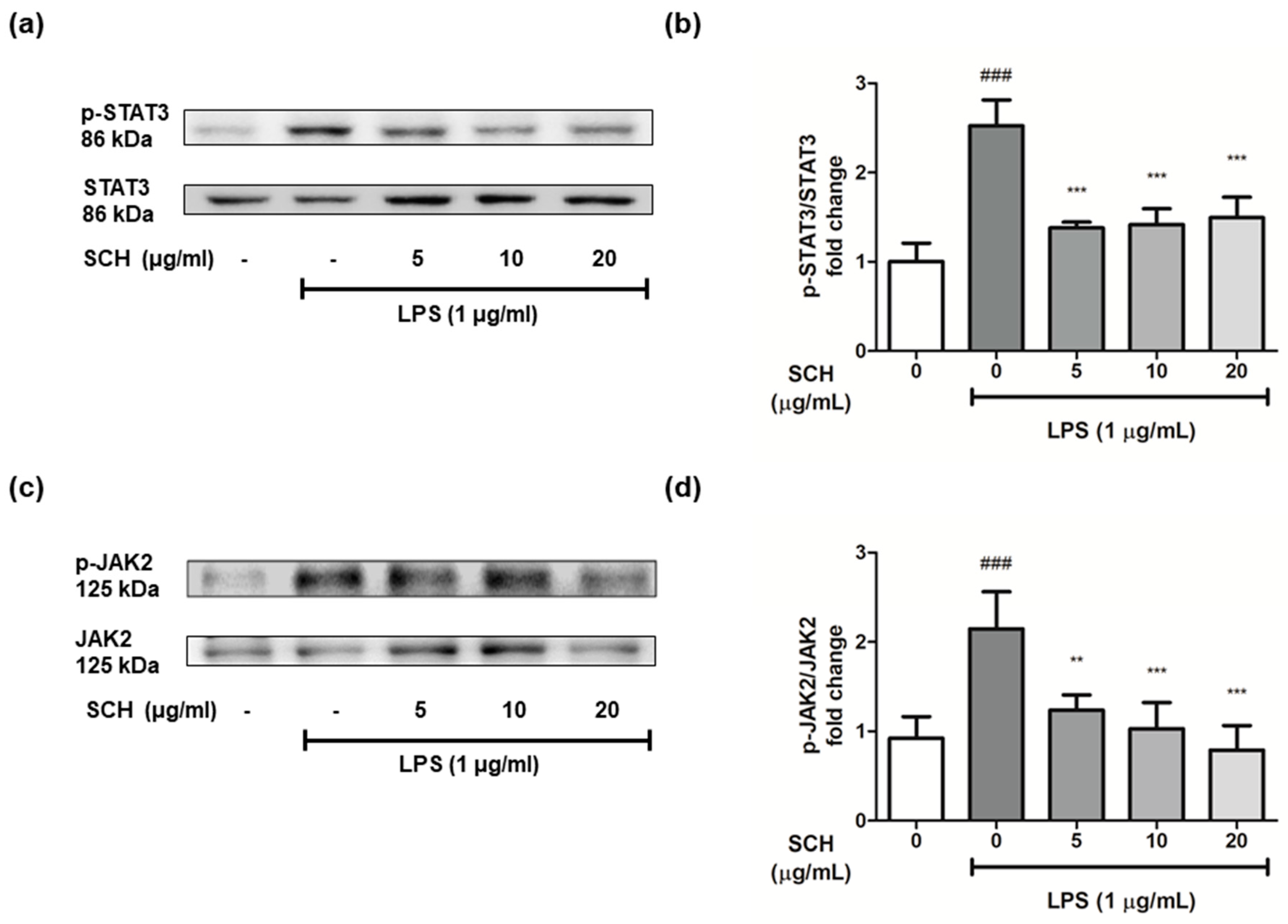 Processes 09 02034 g008
