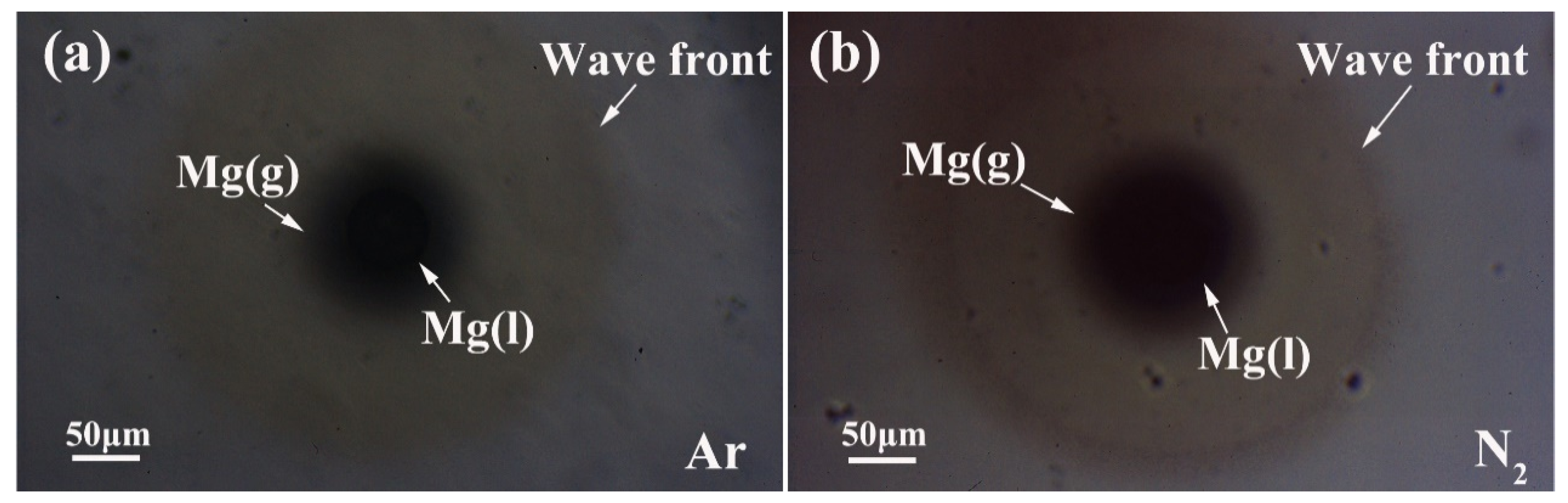Processes 09 02057 g006