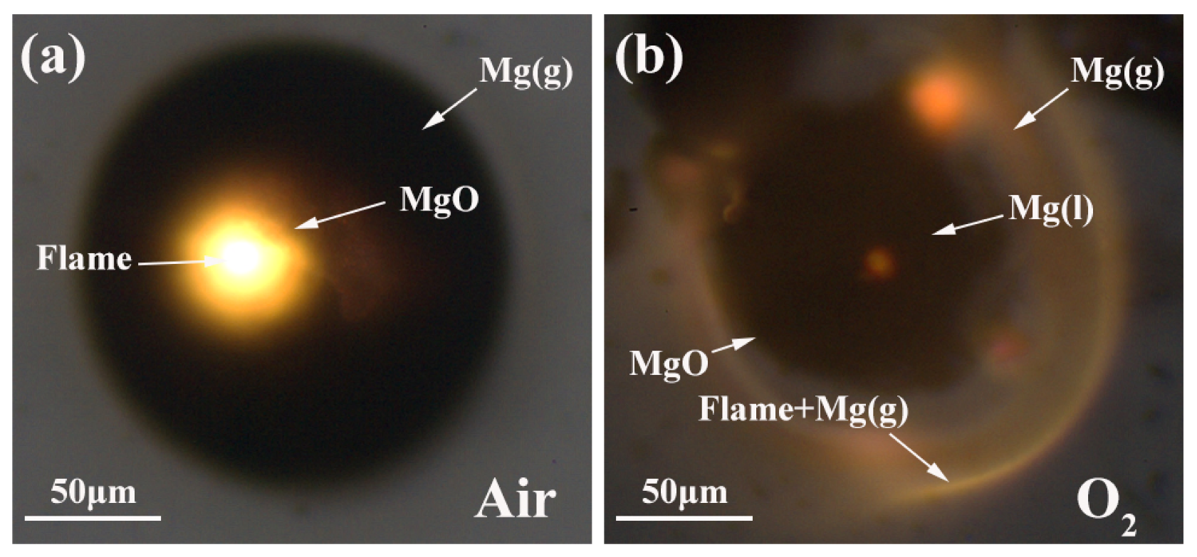Processes 09 02057 g008