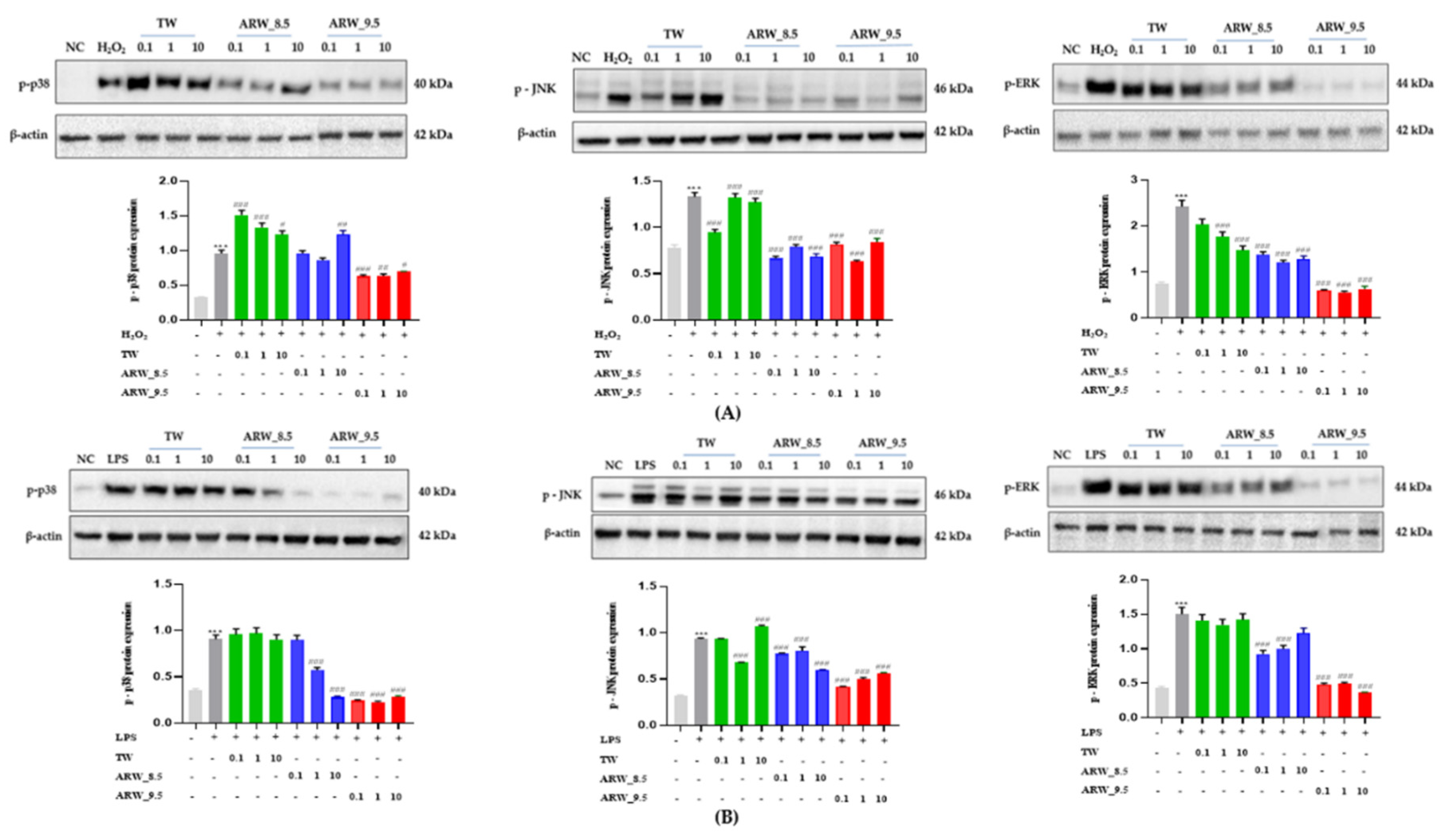 Processes 09 02062 g005