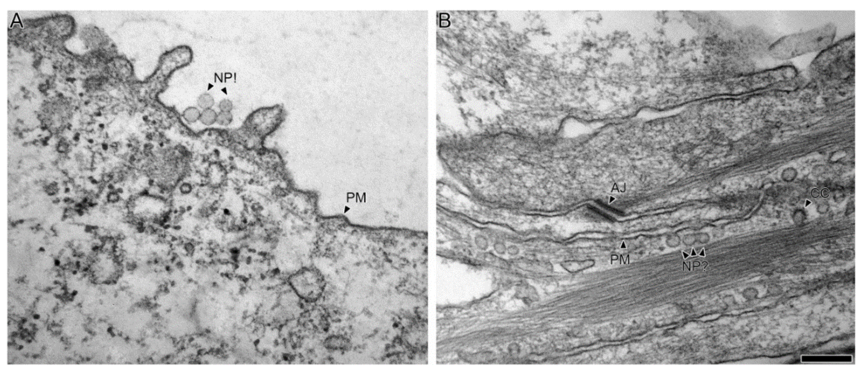 Processes 09 02086 g007 Processes 09 02086 g007