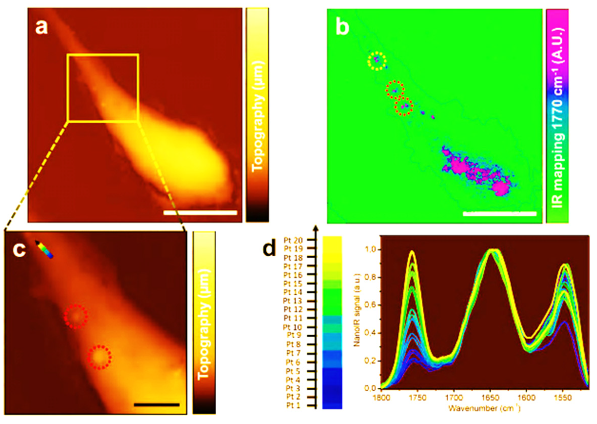 Processes 09 02086 g010 Processes 09 02086 g010