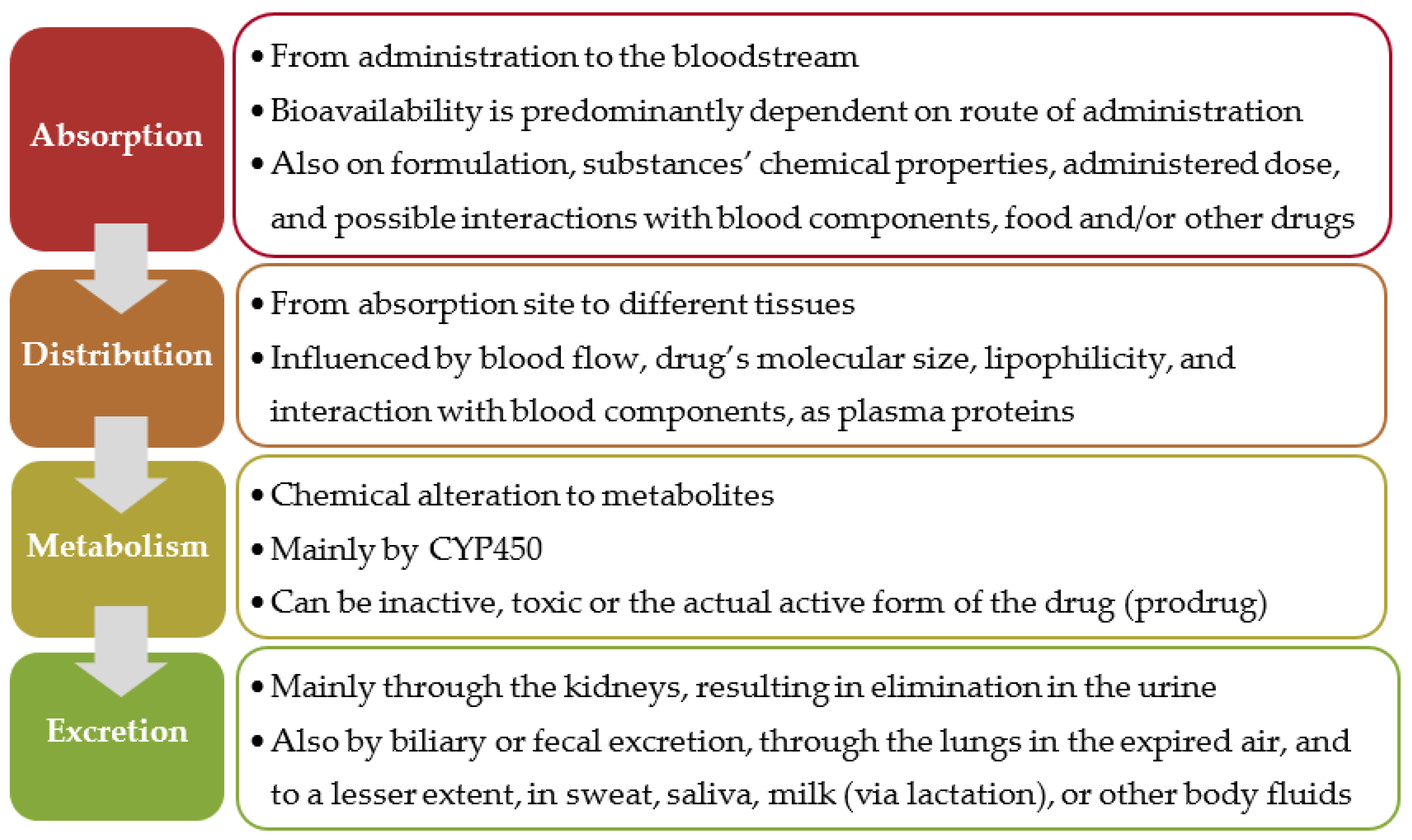 Processes 09 02087 g001