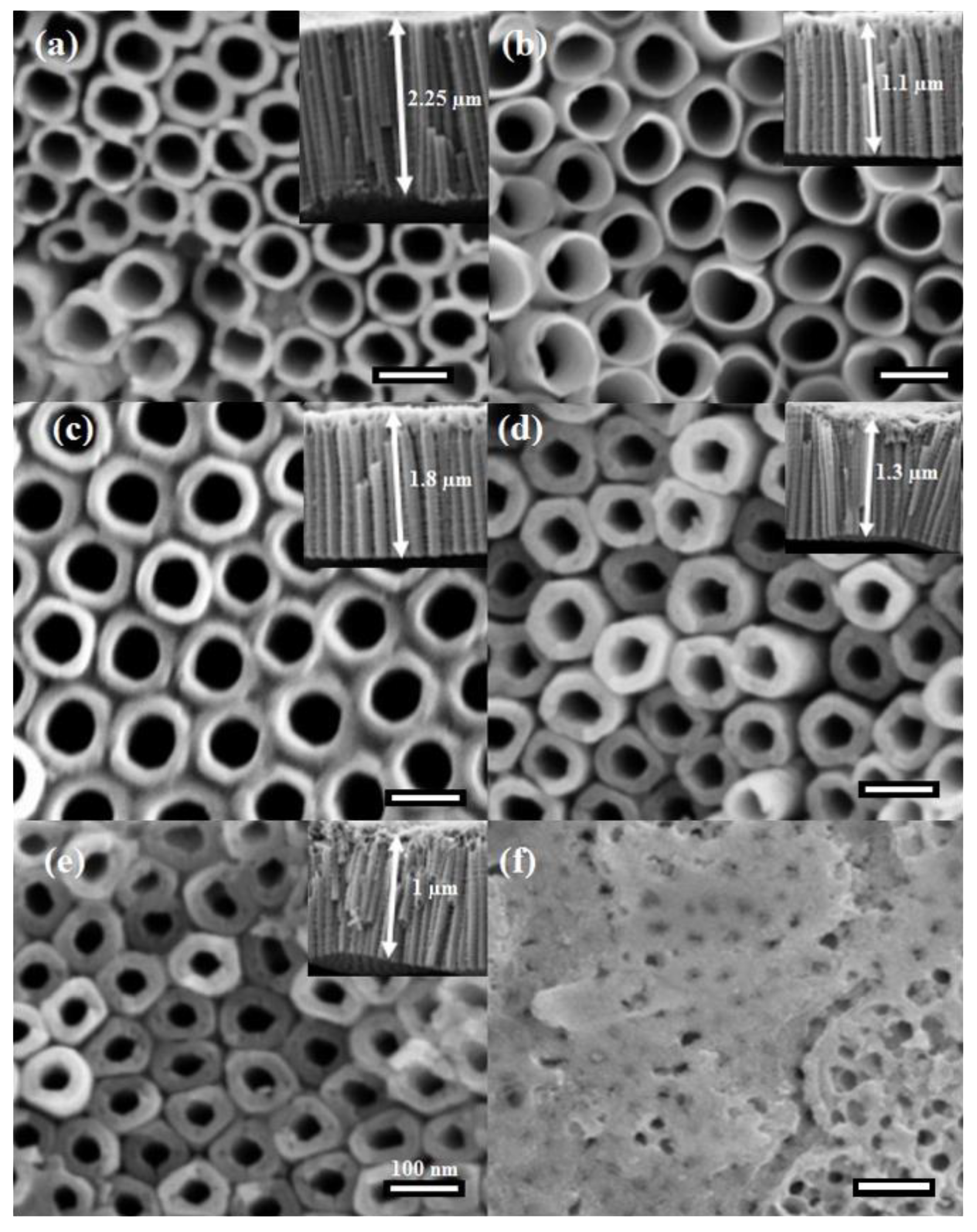 Processes 09 02099 g001