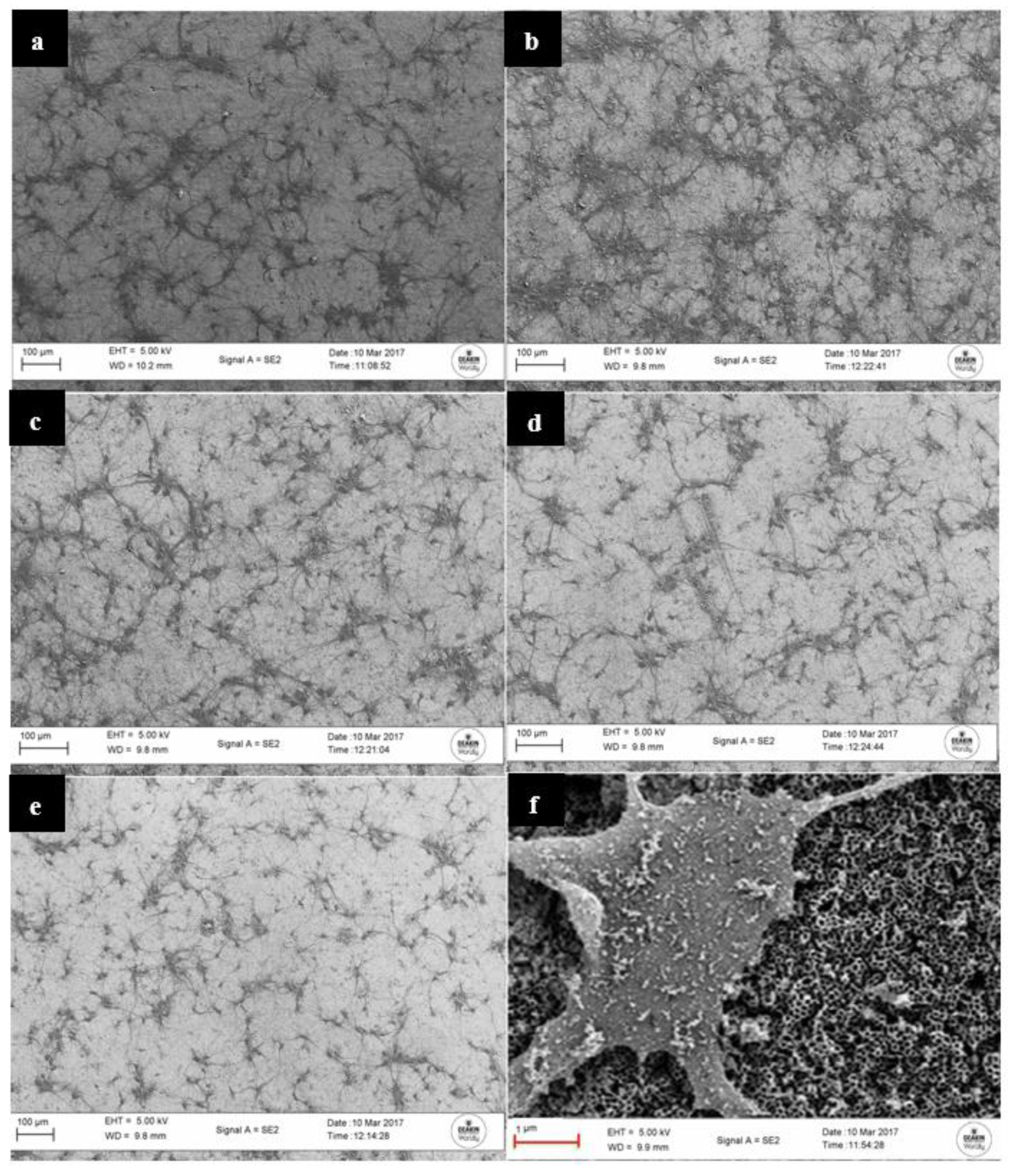 Processes 09 02099 g007