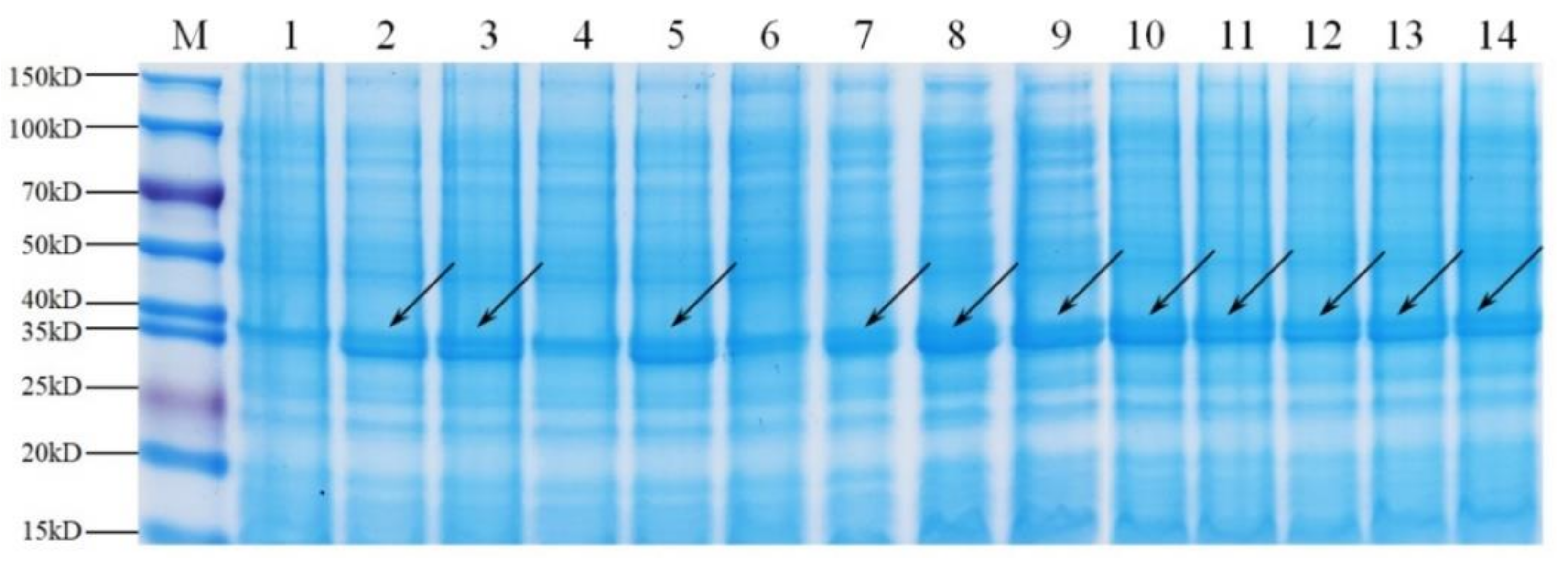 Processes 09 02106 g002