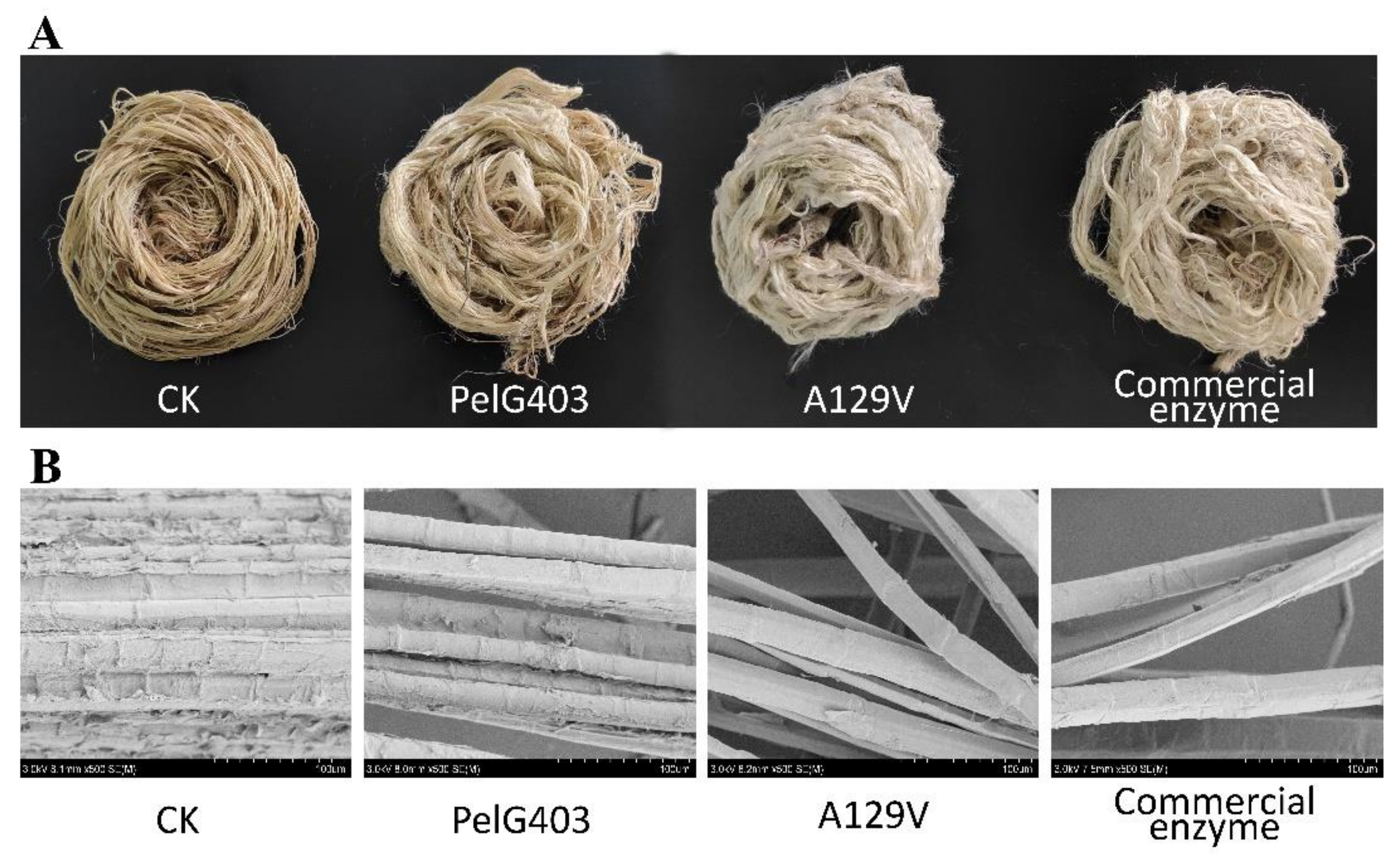 Processes 09 02106 g007