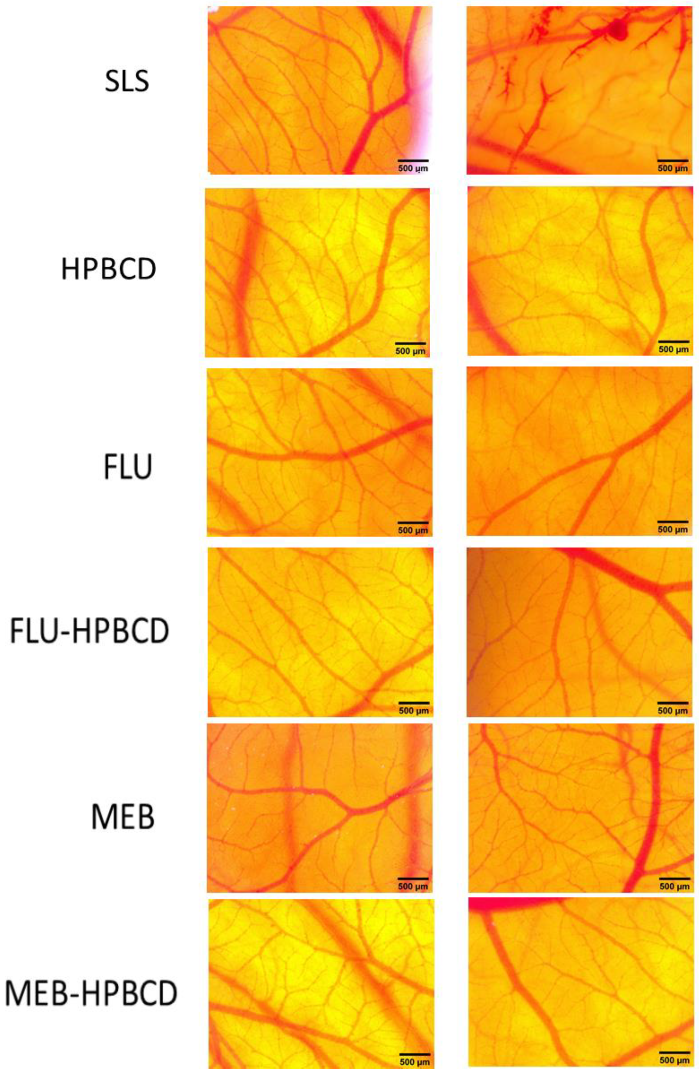 Processes 09 02185 g012