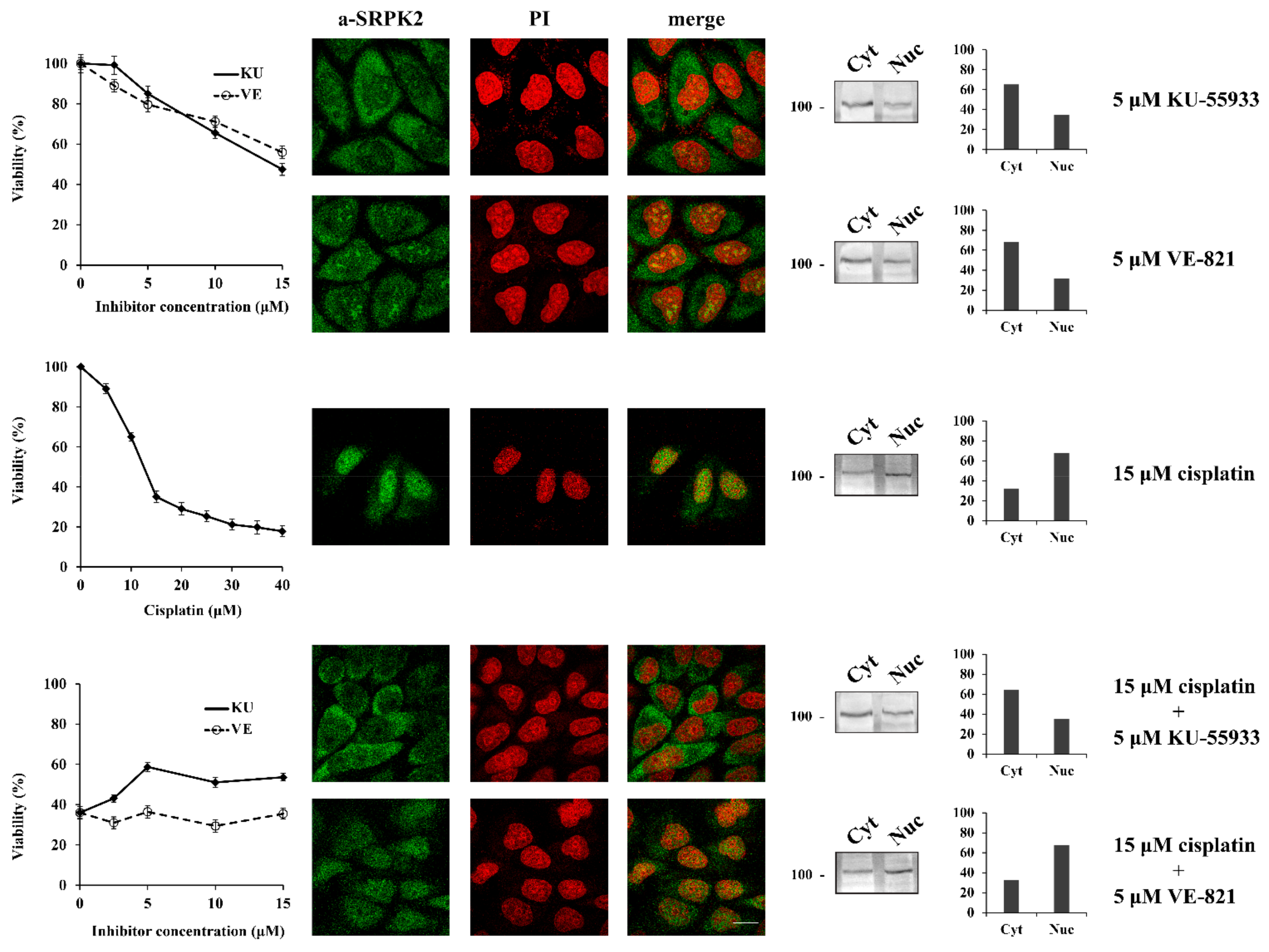 Processes 09 02223 g002