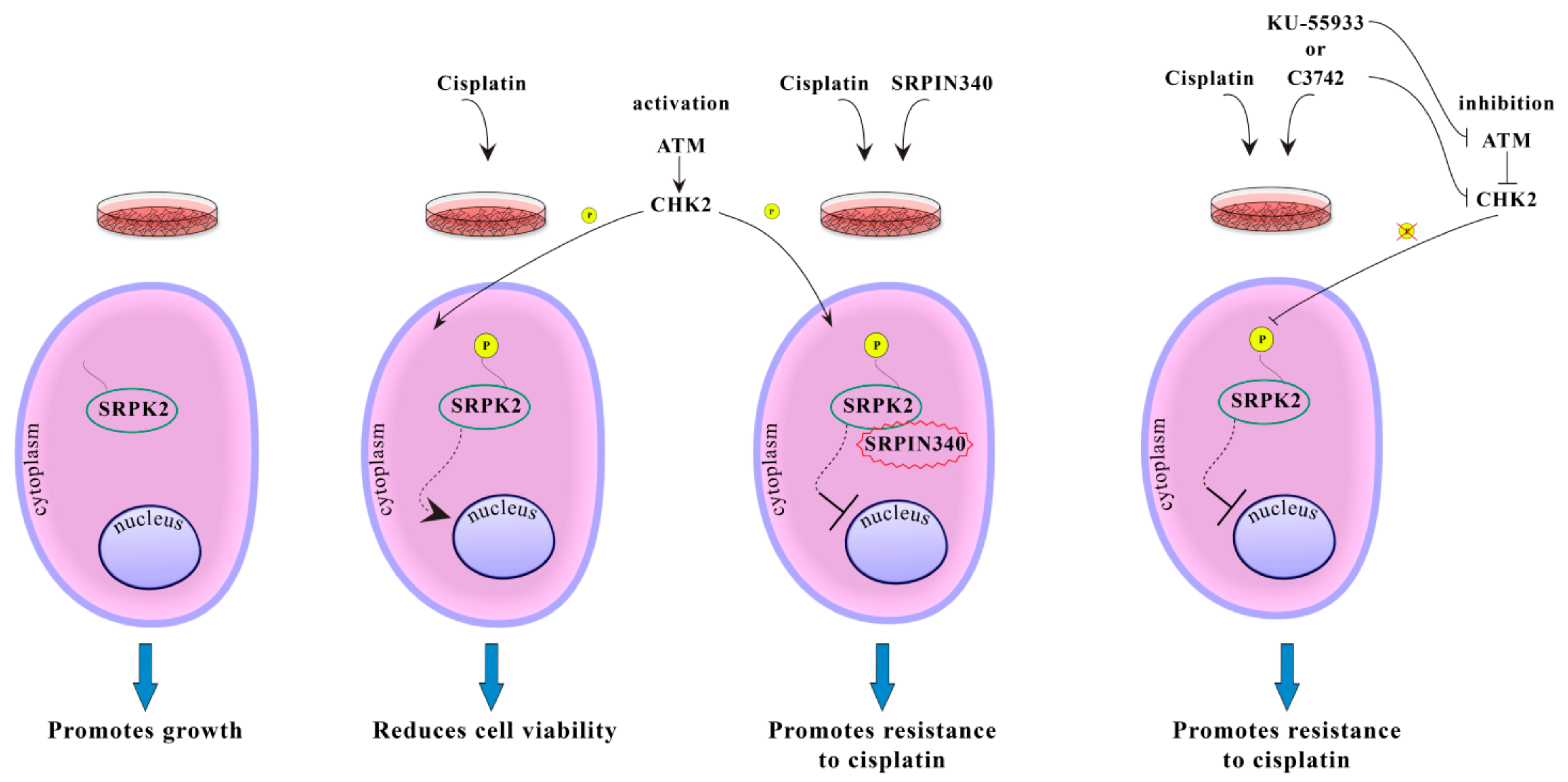 Processes 09 02223 g004