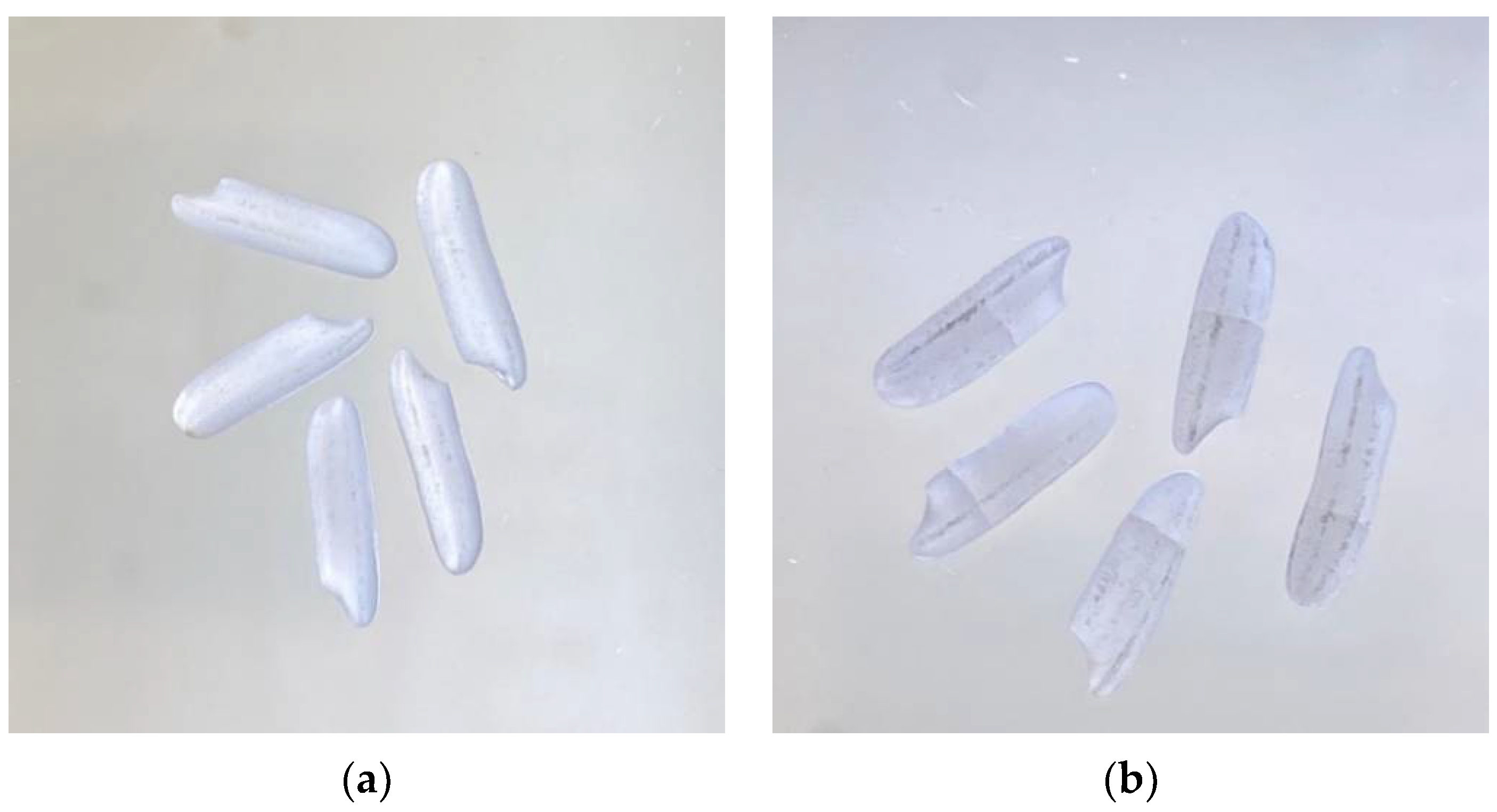 Processes 09 02277 g005a Processes 09 02277 g005a