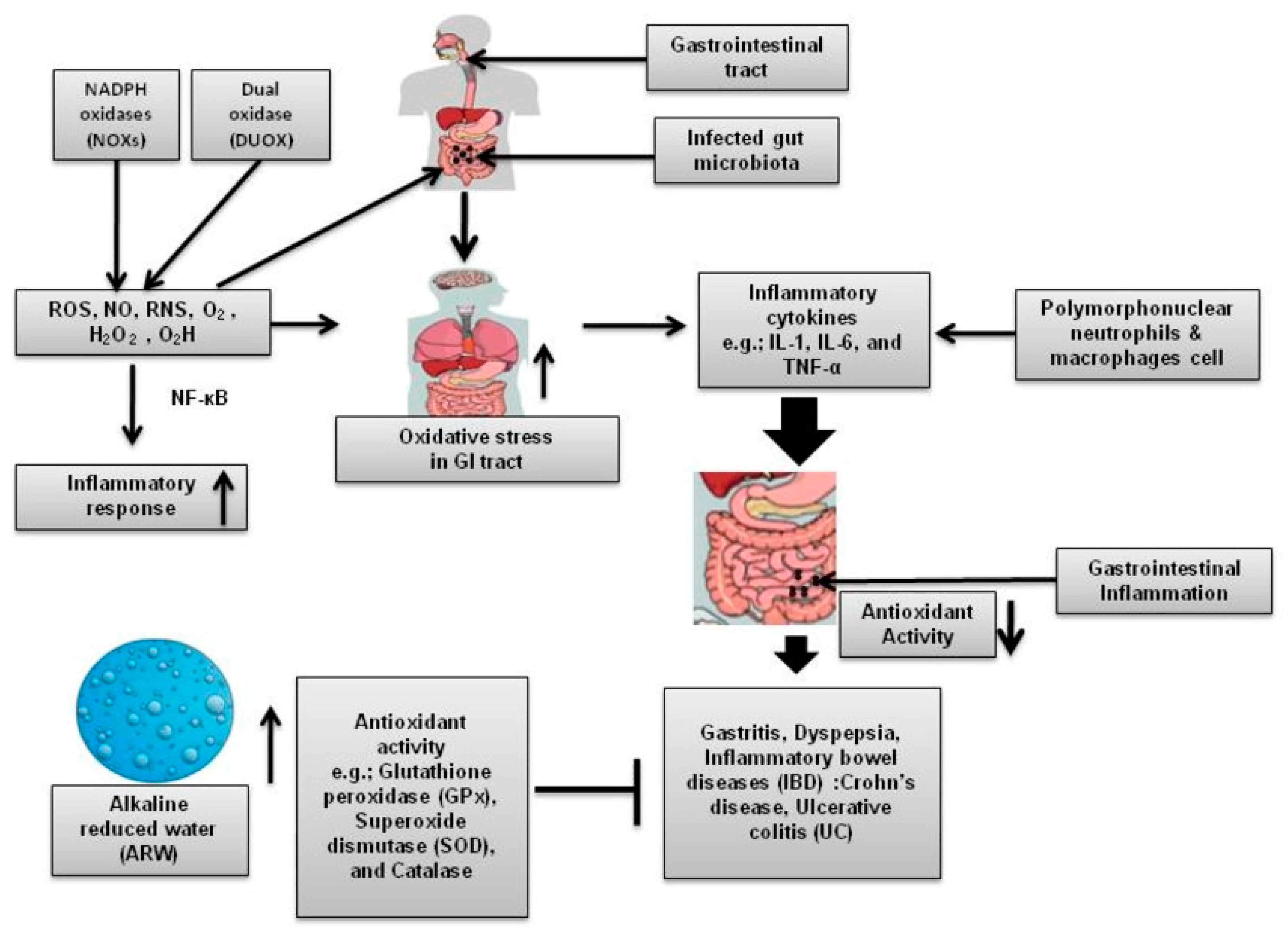 Processes 10 00087 g001