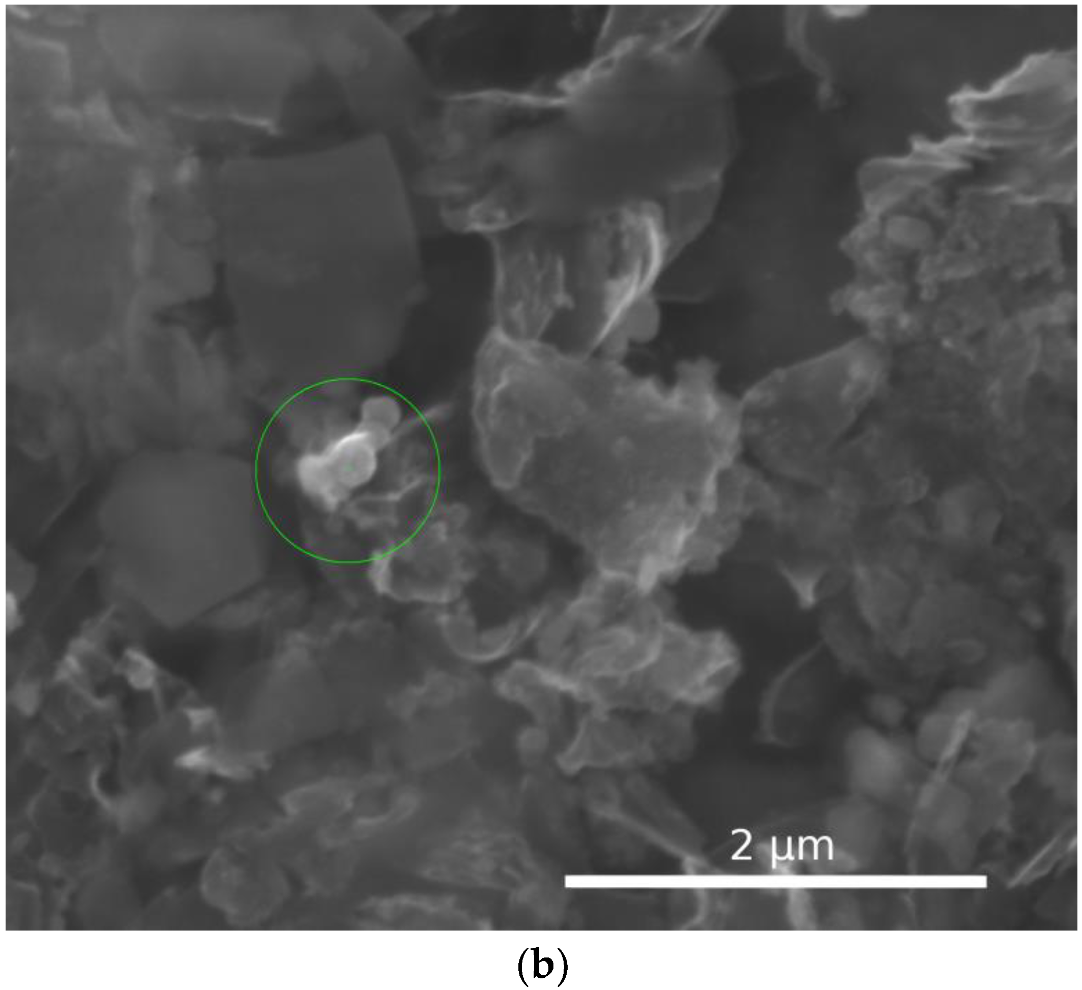 Processes 10 00090 g002b