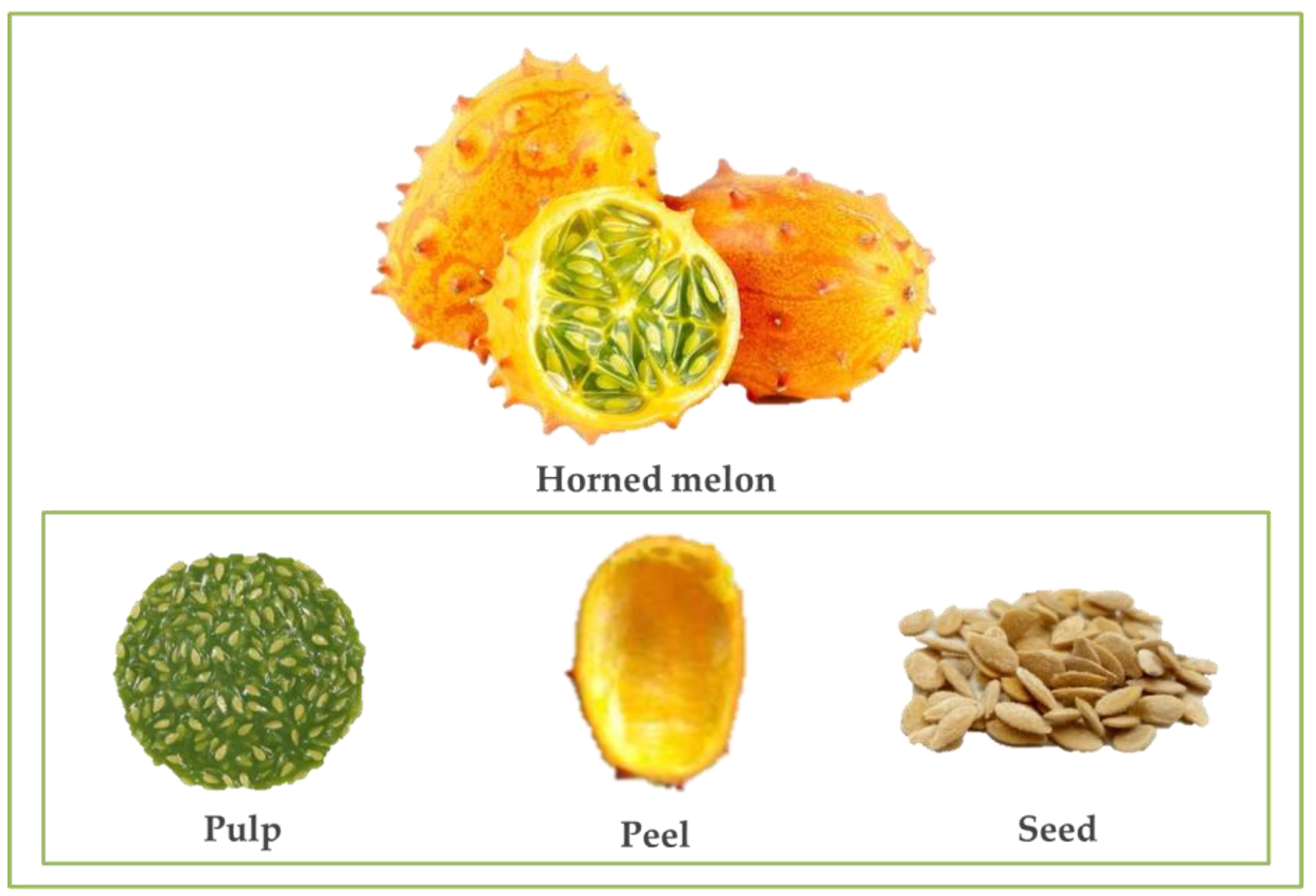 Processes 10 00094 g001