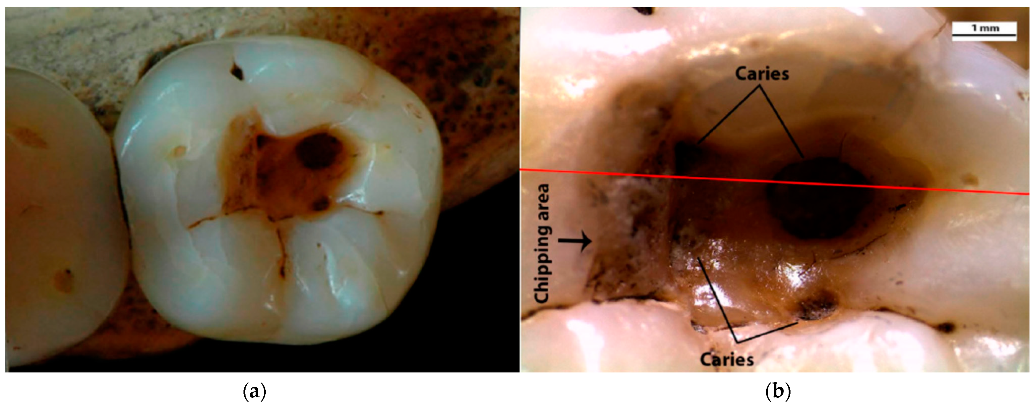 Processes 10 00101 g001