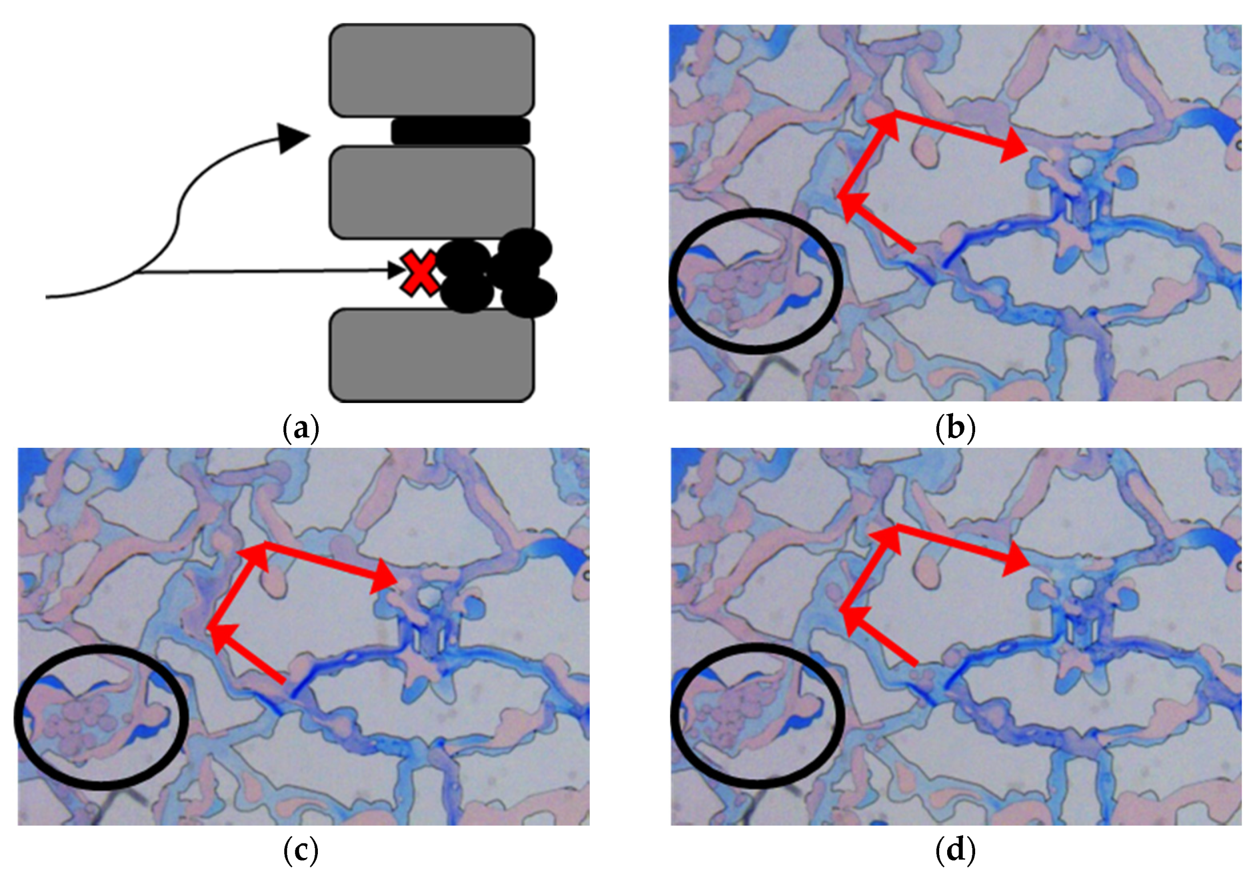 Processes 10 00112 g008